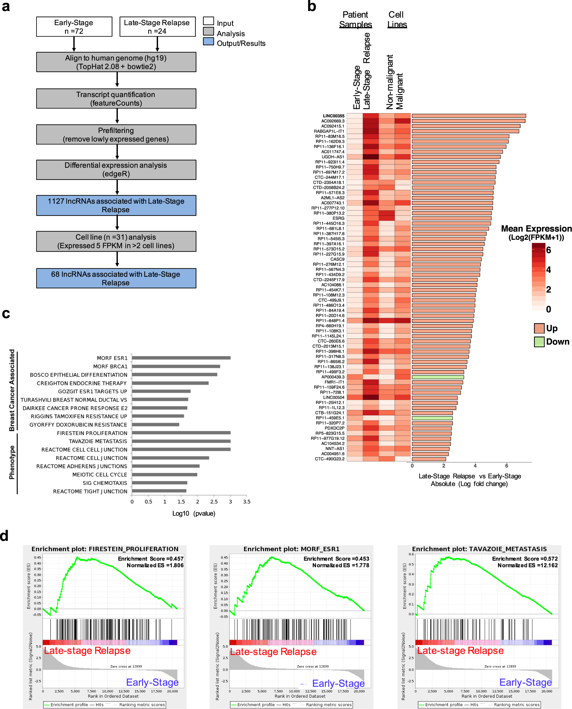 Linc Regulates P27kip Expression By Binding To Menin To Induce Proliferation In Late Stage Relapse Breast Cancer Npj Breast Cancer