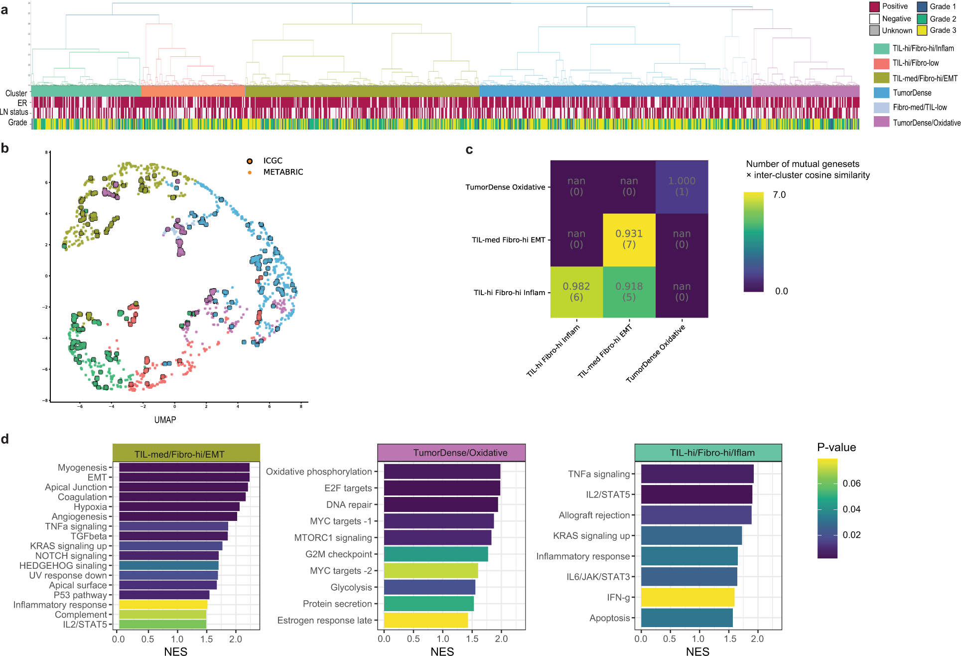 Fig. 4: Spatial clusters in METABRIC cohort similar to ICGC cohort.