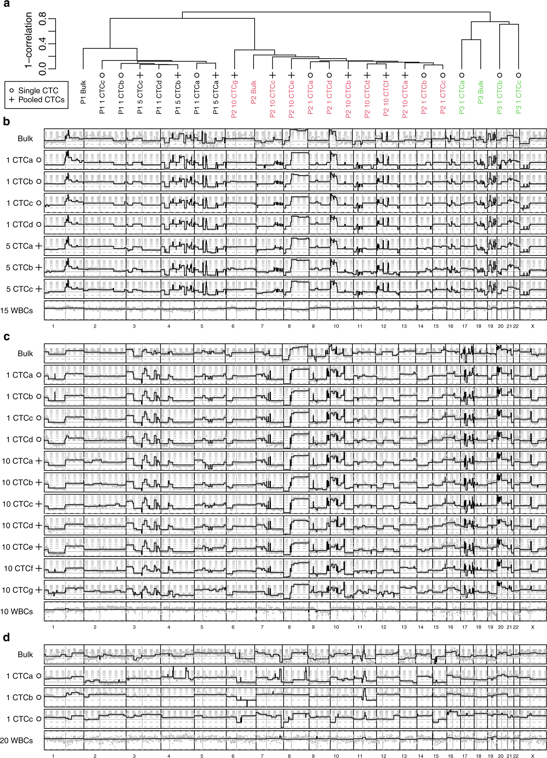 Fig. 4: Copy number aberration analysis in the bulk tumor and in CTCs.