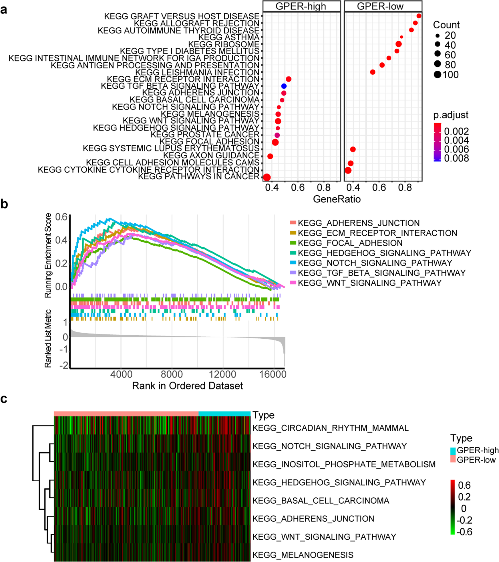Fig. 5: The GSEA and GSVA results of GPER correlated pathways based on the transcriptomic data of 360 TNBC patients.