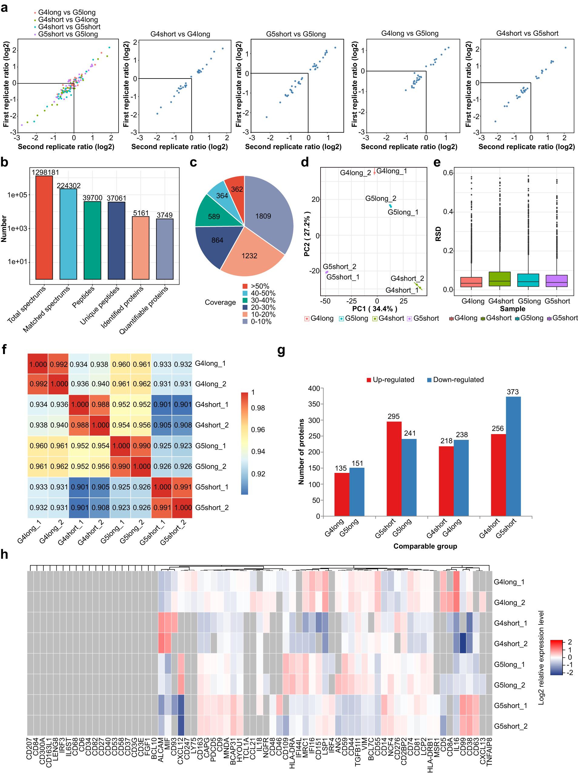 Fig. 4: Different expression of immunophenotype proteins between Miller-Payne 4 and 5 groups with distinct prognoses.