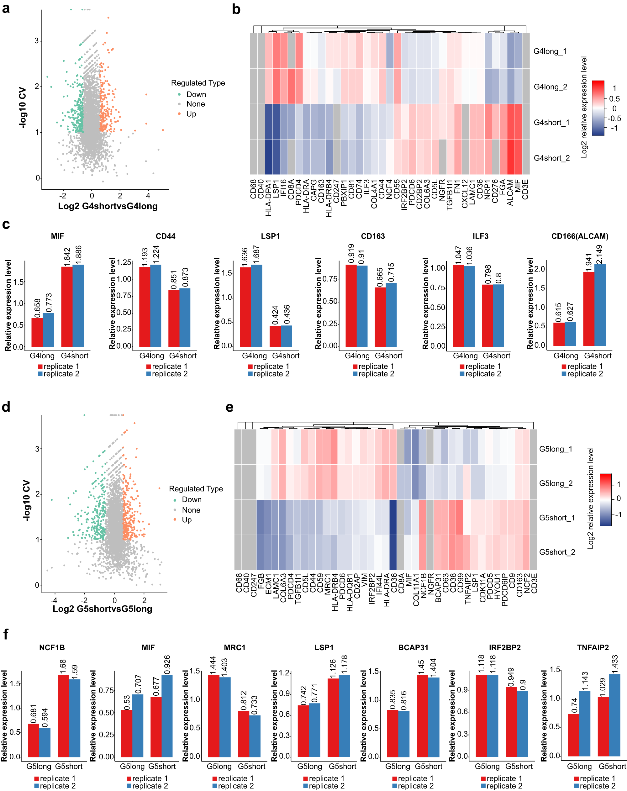 Fig. 5: Identification of different immunophenotype proteins associated with distinct prognosis in Miller-Payne 4/5 cohorts.