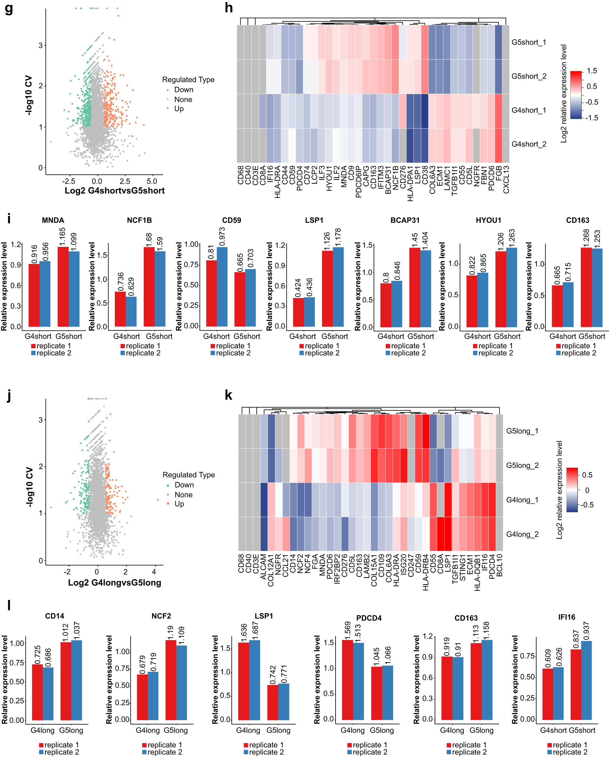 Fig. 5: Identification of different immunophenotype proteins associated with distinct prognosis in Miller-Payne 4/5 cohorts.