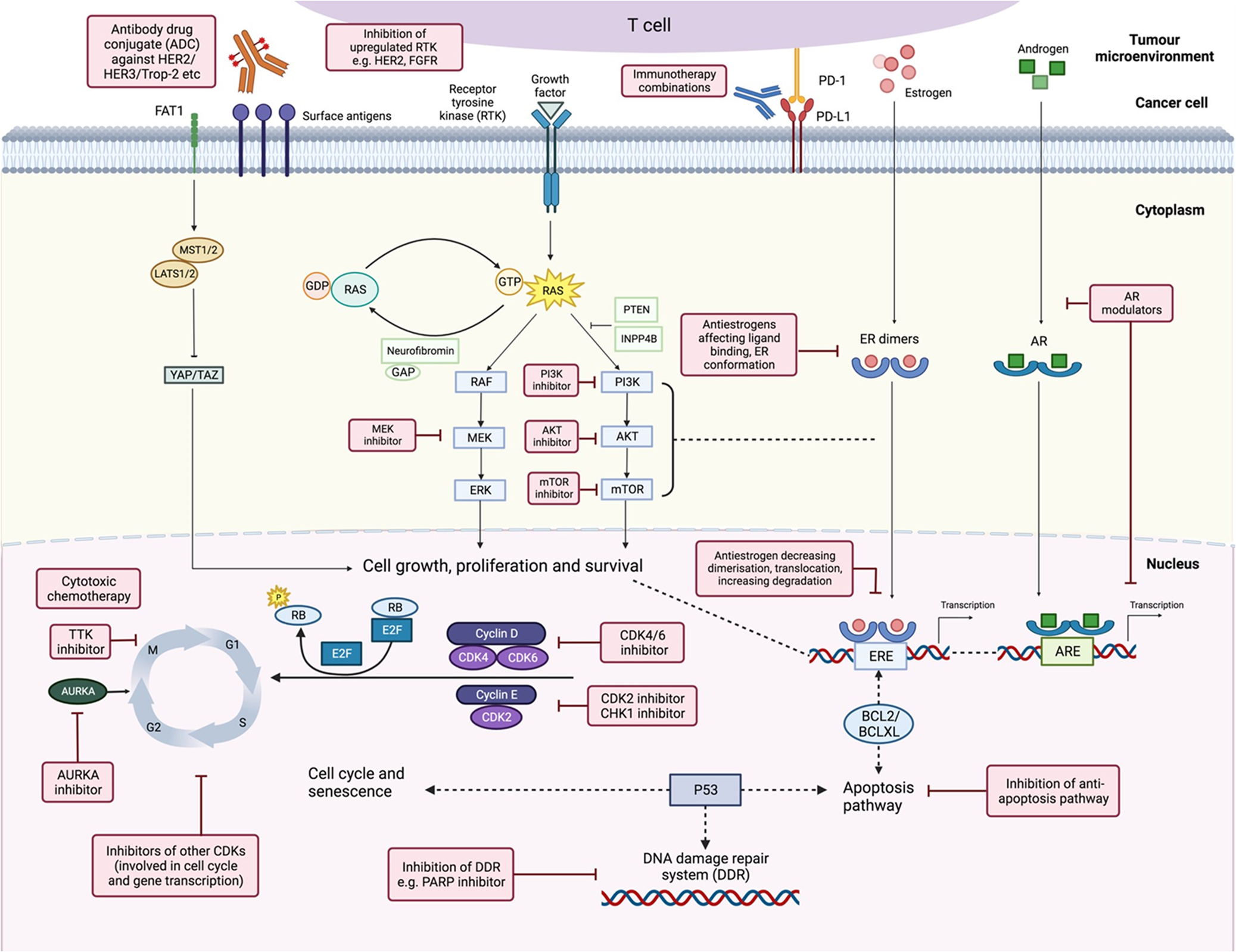 Example of ADC 0 map of breasts pre-and post-breastfeeding. 36