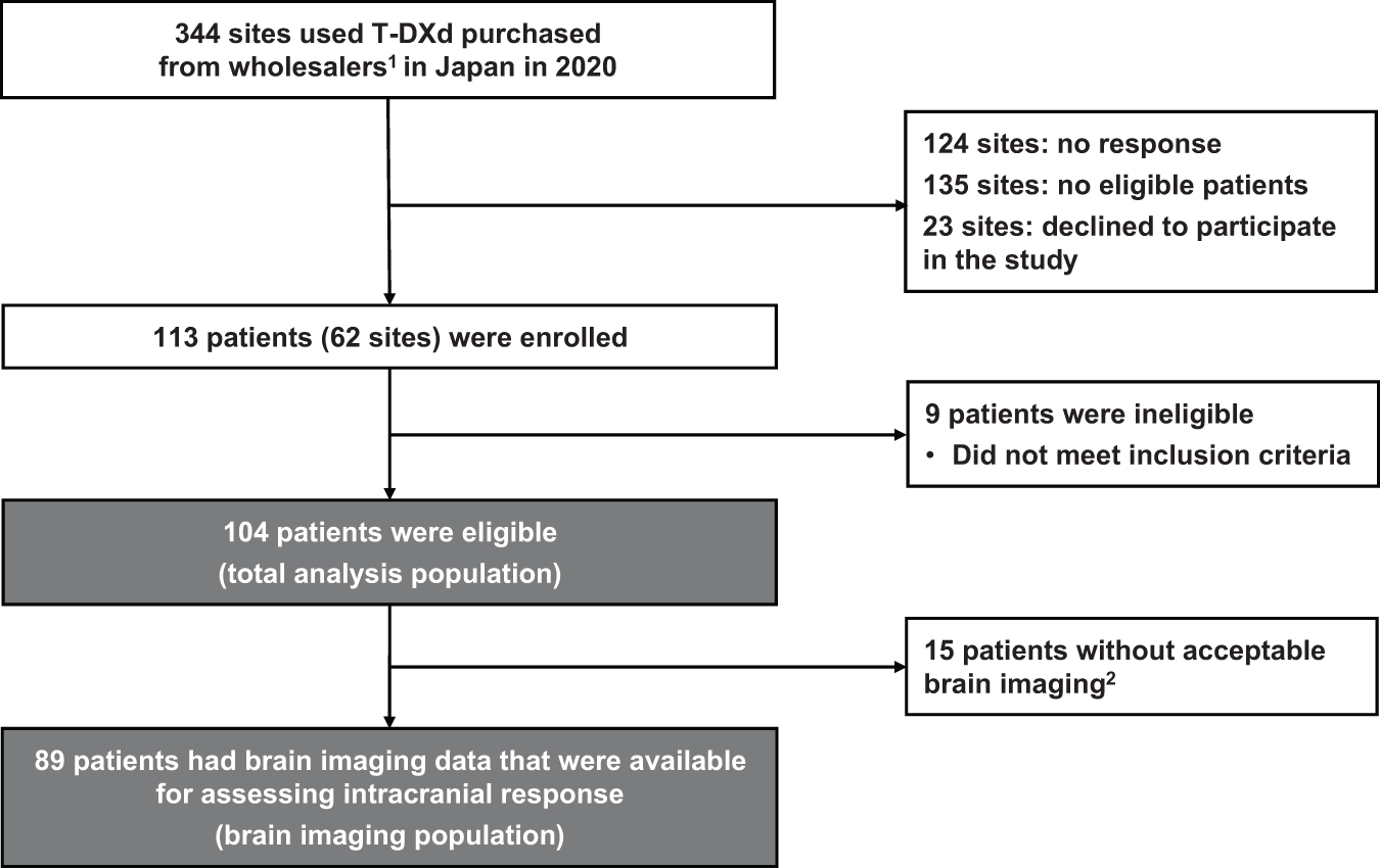 Noninvasive assessment of characteristics of novel anti-HER2