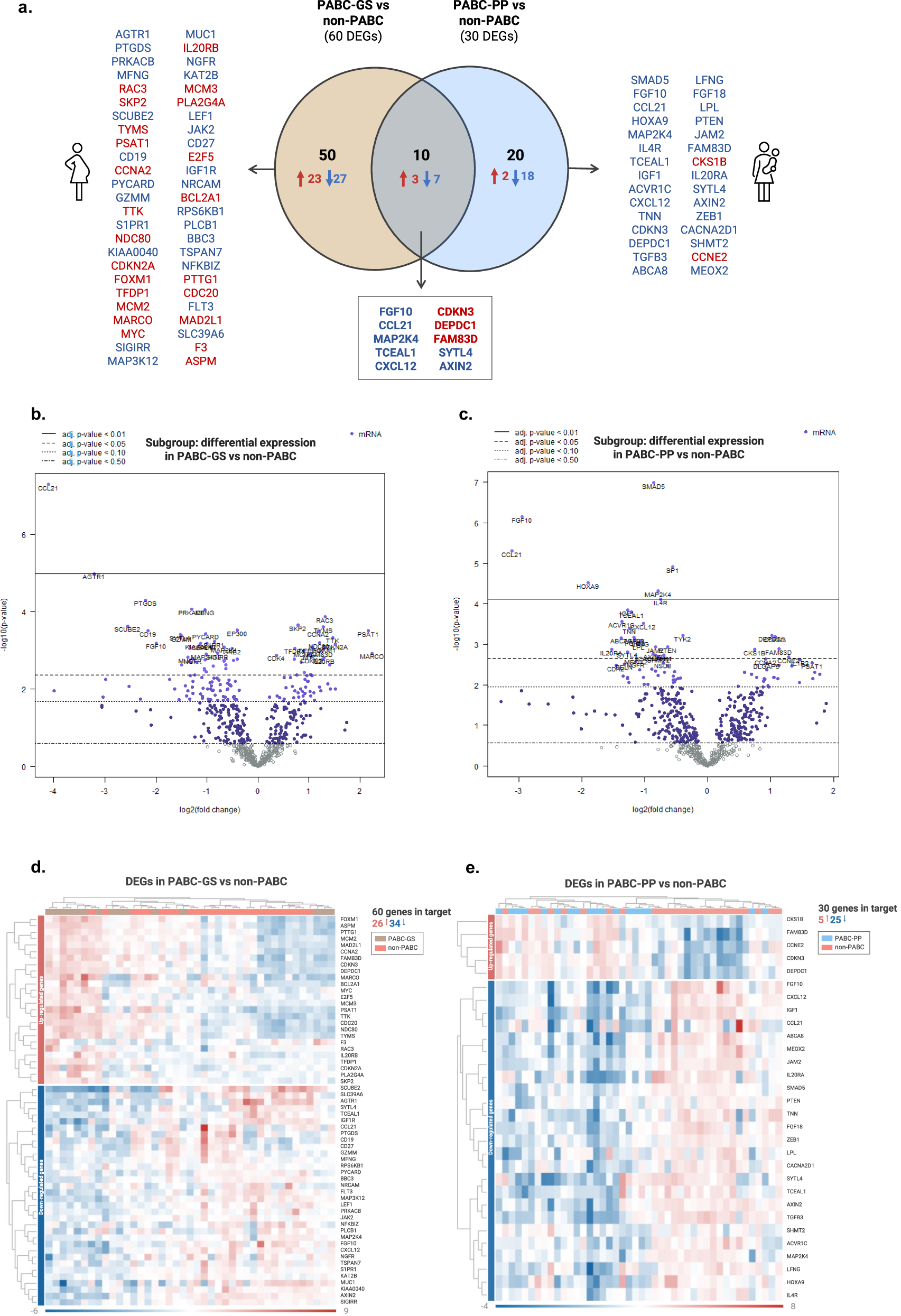 Fig. 5: Specific DEGs for each subgroup of PABC vs non-PABC tumors.