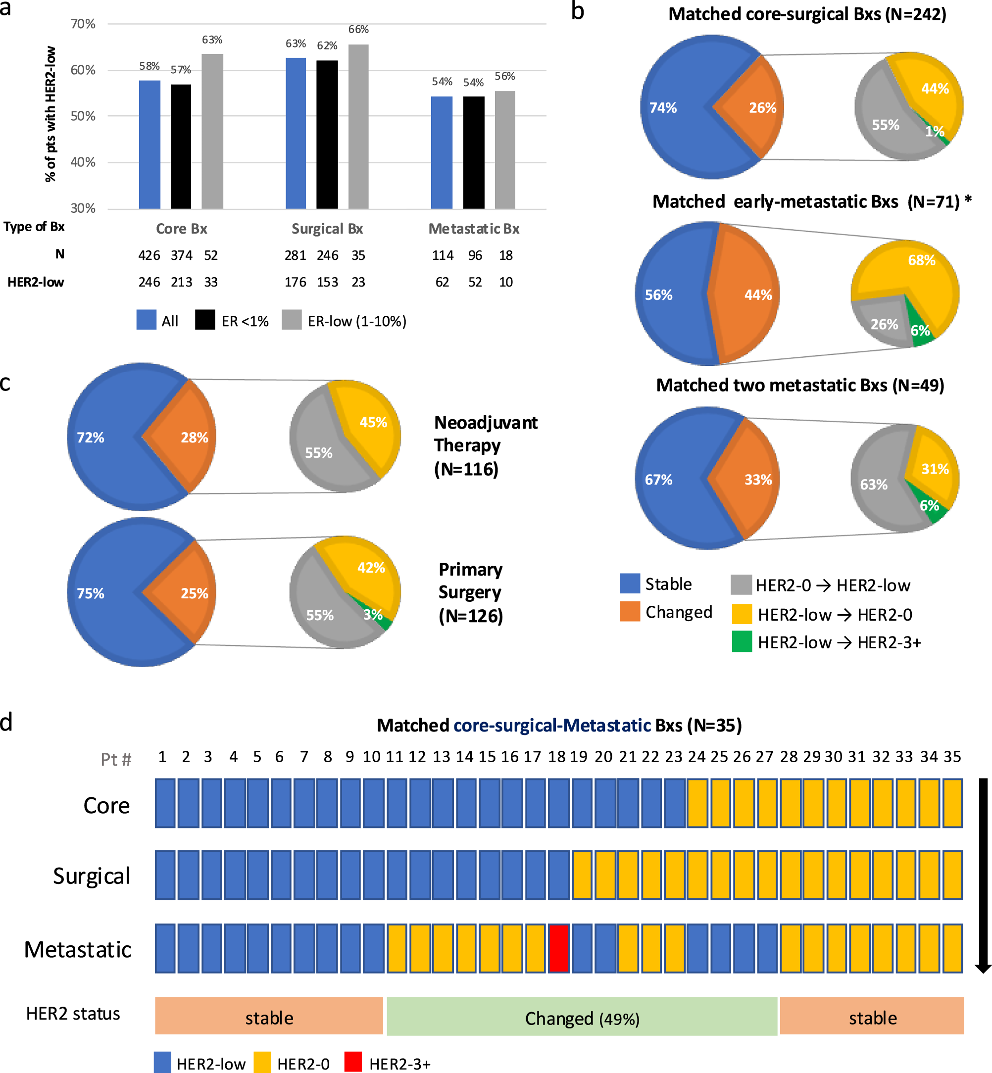 Fig. 3: HER2 status discordance between matched Bxs of patients with TNBC.