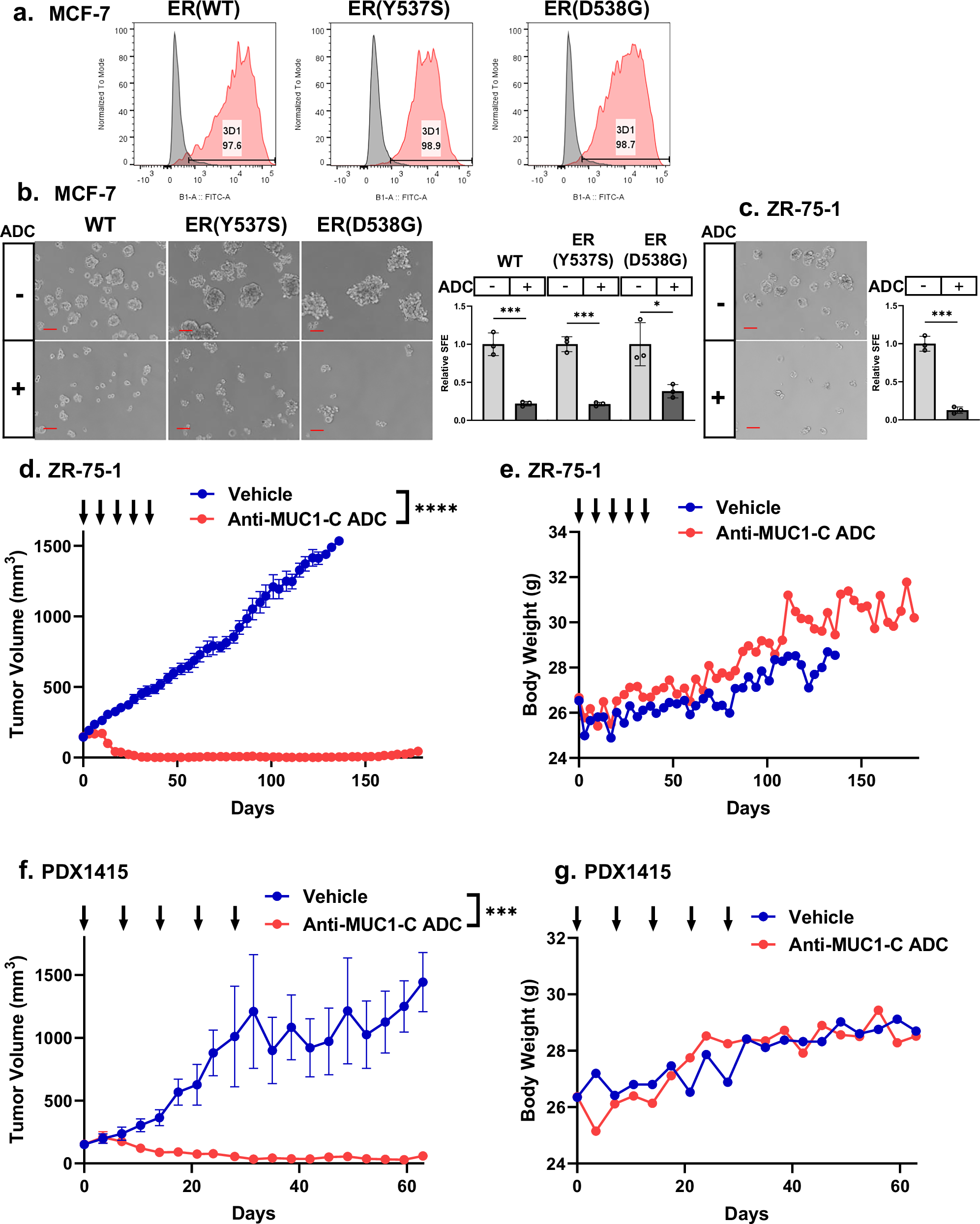 Fig. 6: Anti-MUC1-C ADC is effective against treatment-resistant HR+/HER2− BC cells and tumors.