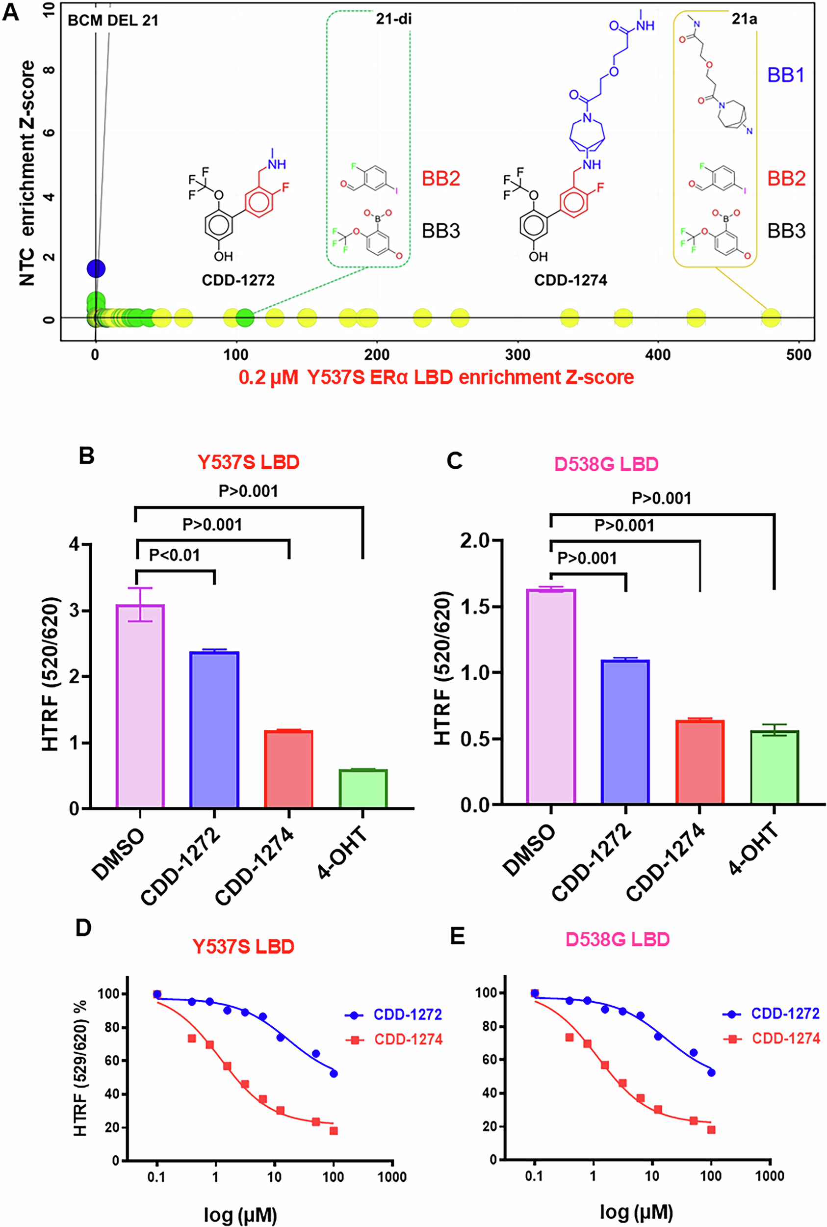 Discovery of a novel small molecule degrader of wild type and mutant estrogen receptors using DNA encoded libraries