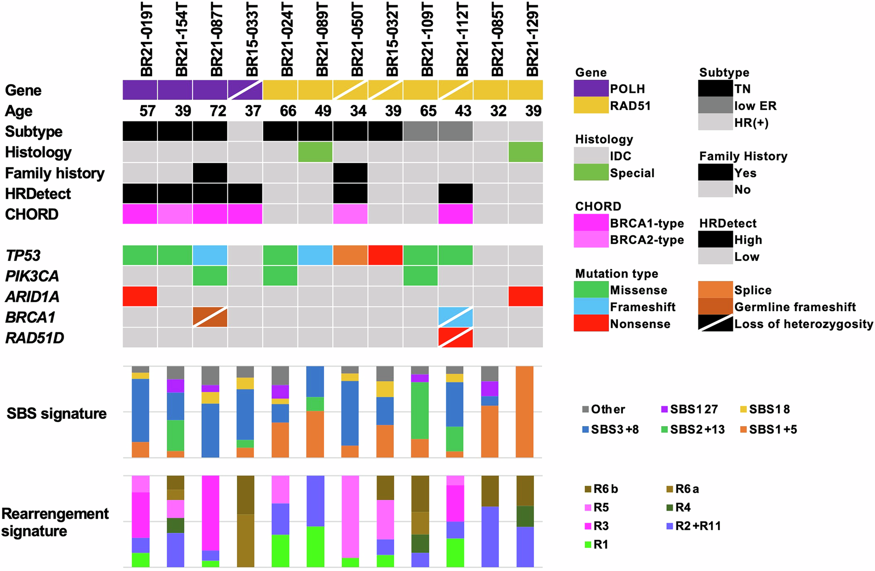 Fig. 4: Genomic landscape of POLH and RAD51 mutated breast tumors.