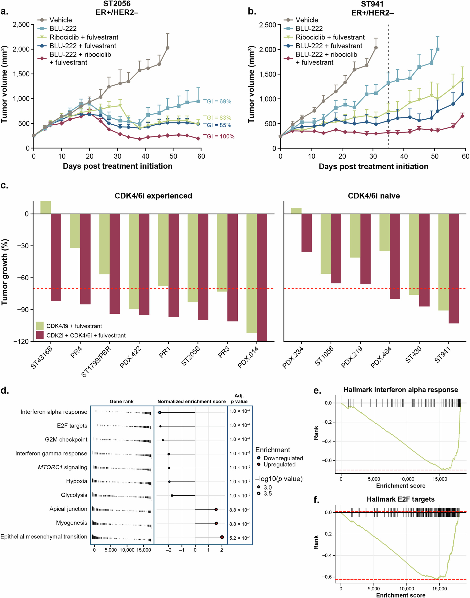 Fig. 6: Fulvestrant enhances antitumor effects of BLU-222+ribociclib in ER+ breast cancer models.