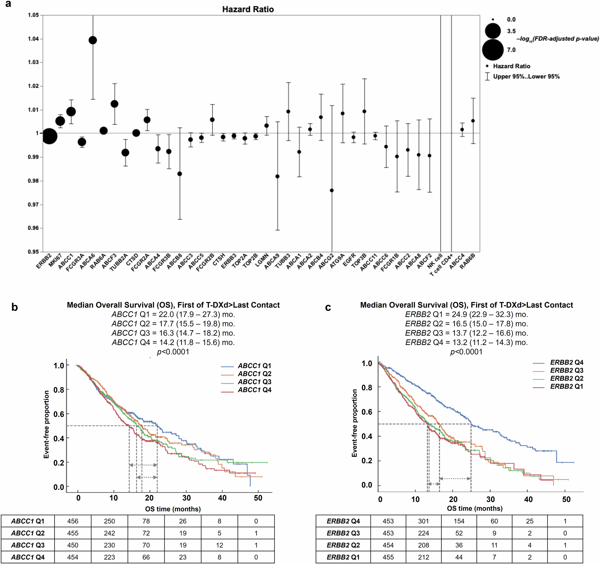 Fig. 2: Multivariate analysis using Cox-Proportional Regression Model in pre-treatment specimens identifies ABCC1 as highly associated with T-DXd associated overall survival.