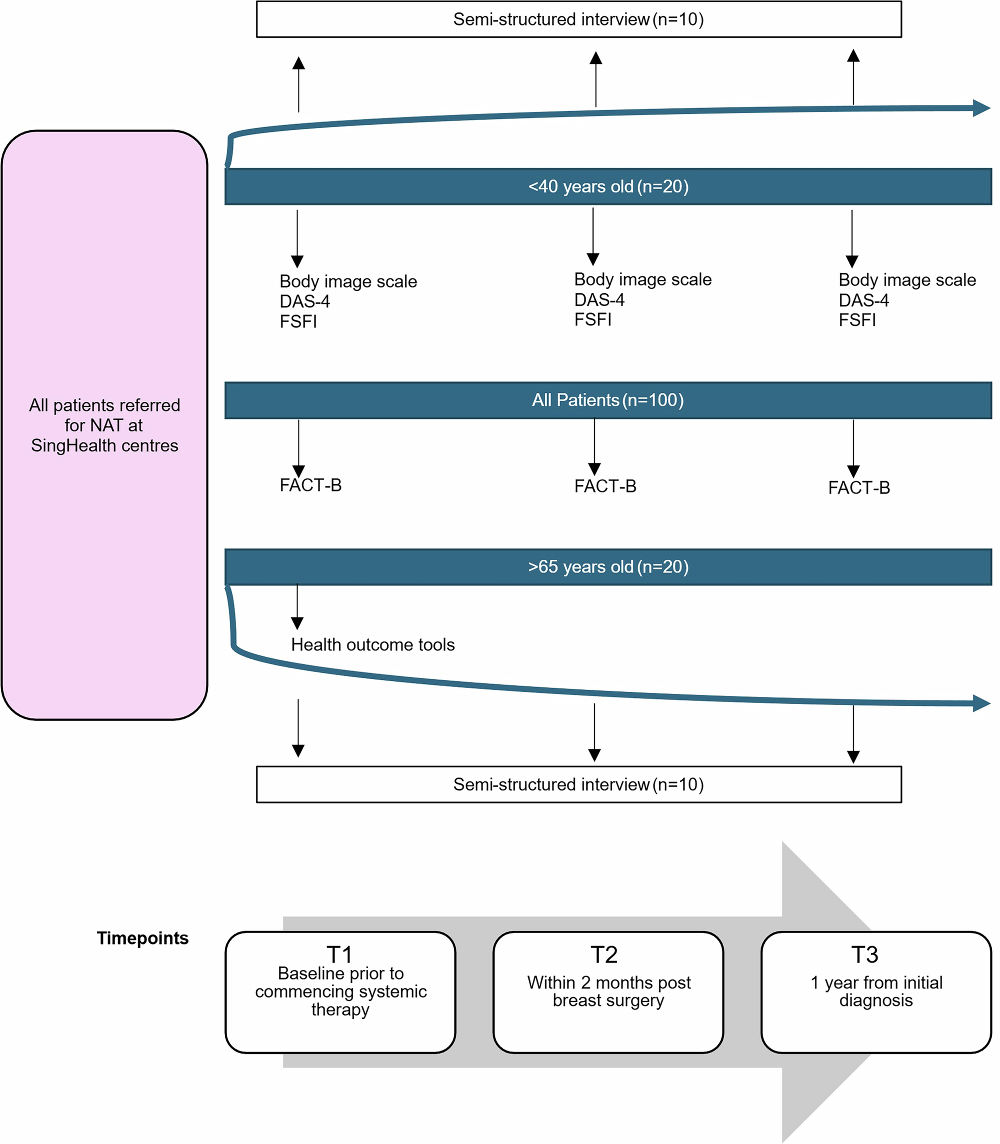 Fig. 1: Schedule of questionnaires and Comprehensive Geriatric Assessment (for the elderly subgroup) administered to study participants.