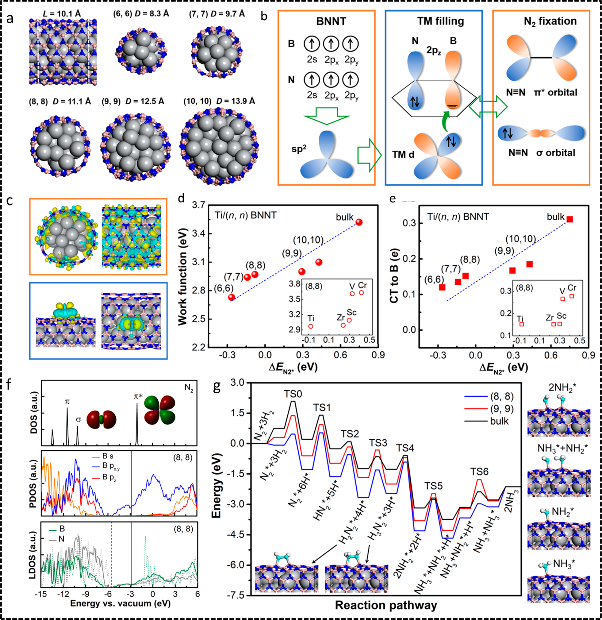Fig. 9: Metal-encapsulated boron nitrogen nanotubes for NRR.