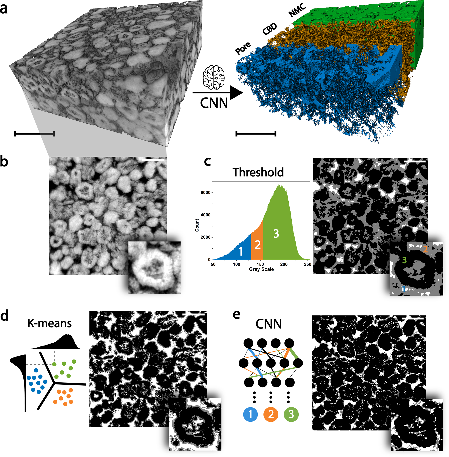 Artificial neural network approach for multiphase segmentation of battery  electrode nano-CT images | npj Computational Materials