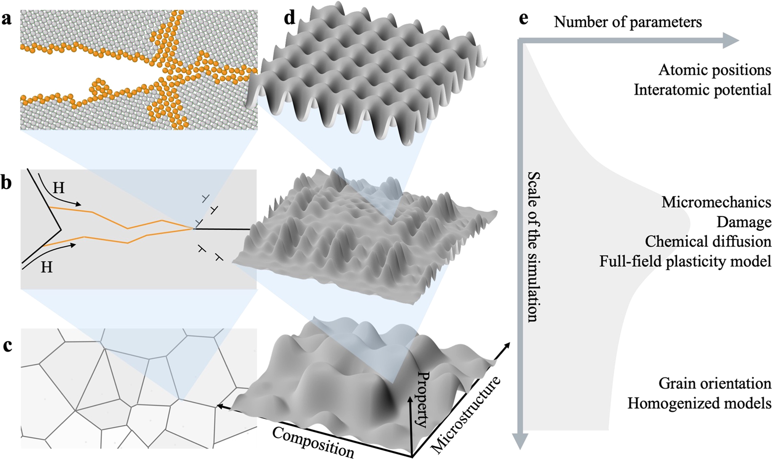 Modeling and simulation of microstructure in metallic systems based on  multi-physics approaches | npj Computational Materials