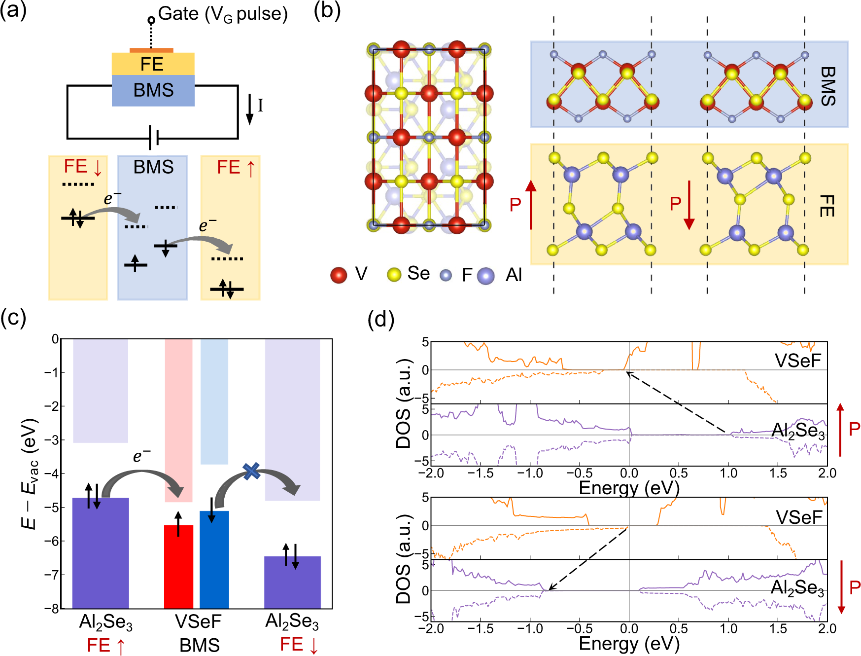 Fig. 3: Manipulation of BMS by the ferroelectric gate and VSeF/Al2Se3 bilayer heterostructures.