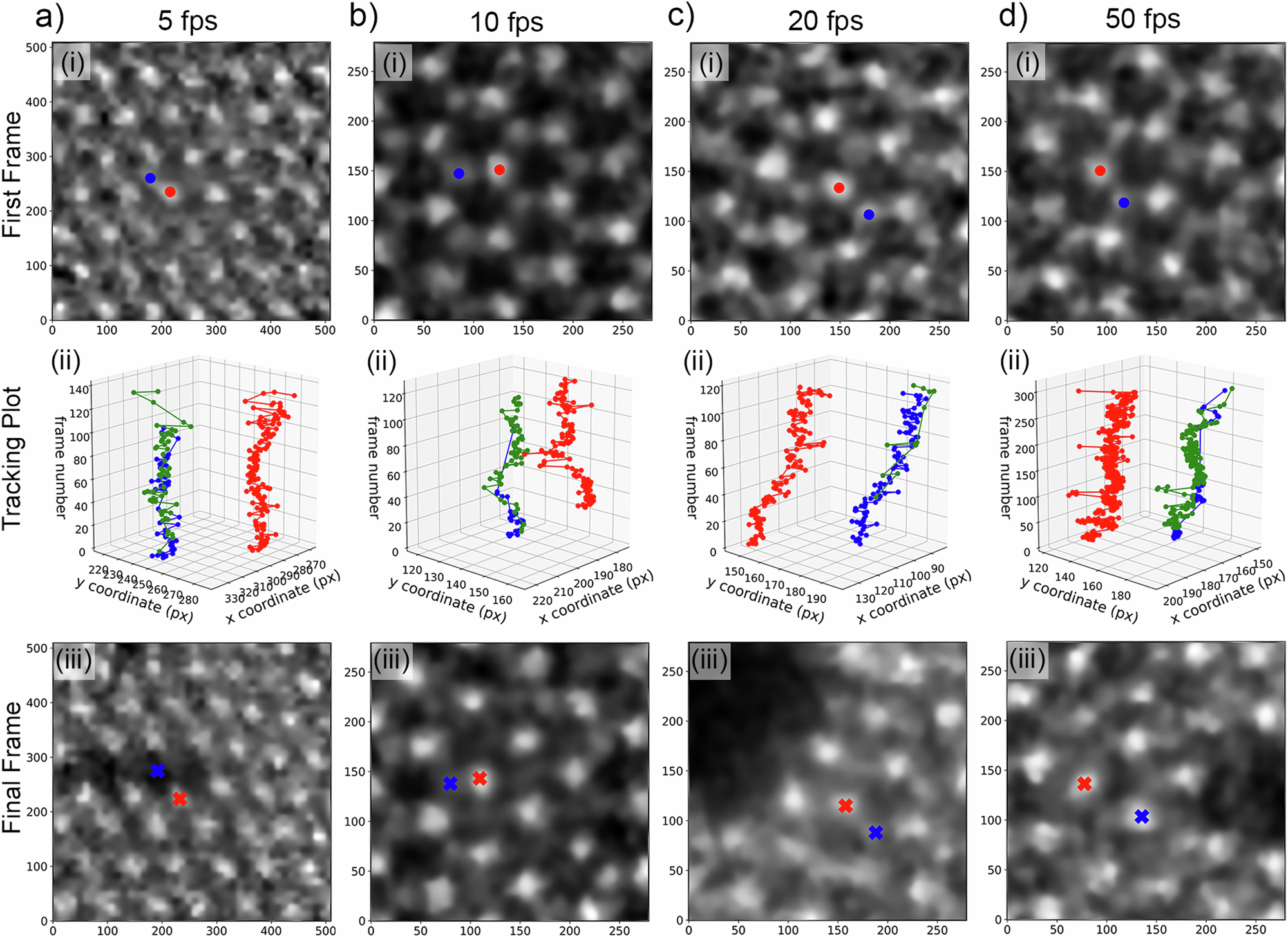 Fig. 4: Single atomic tracking at different temporal resolutions.