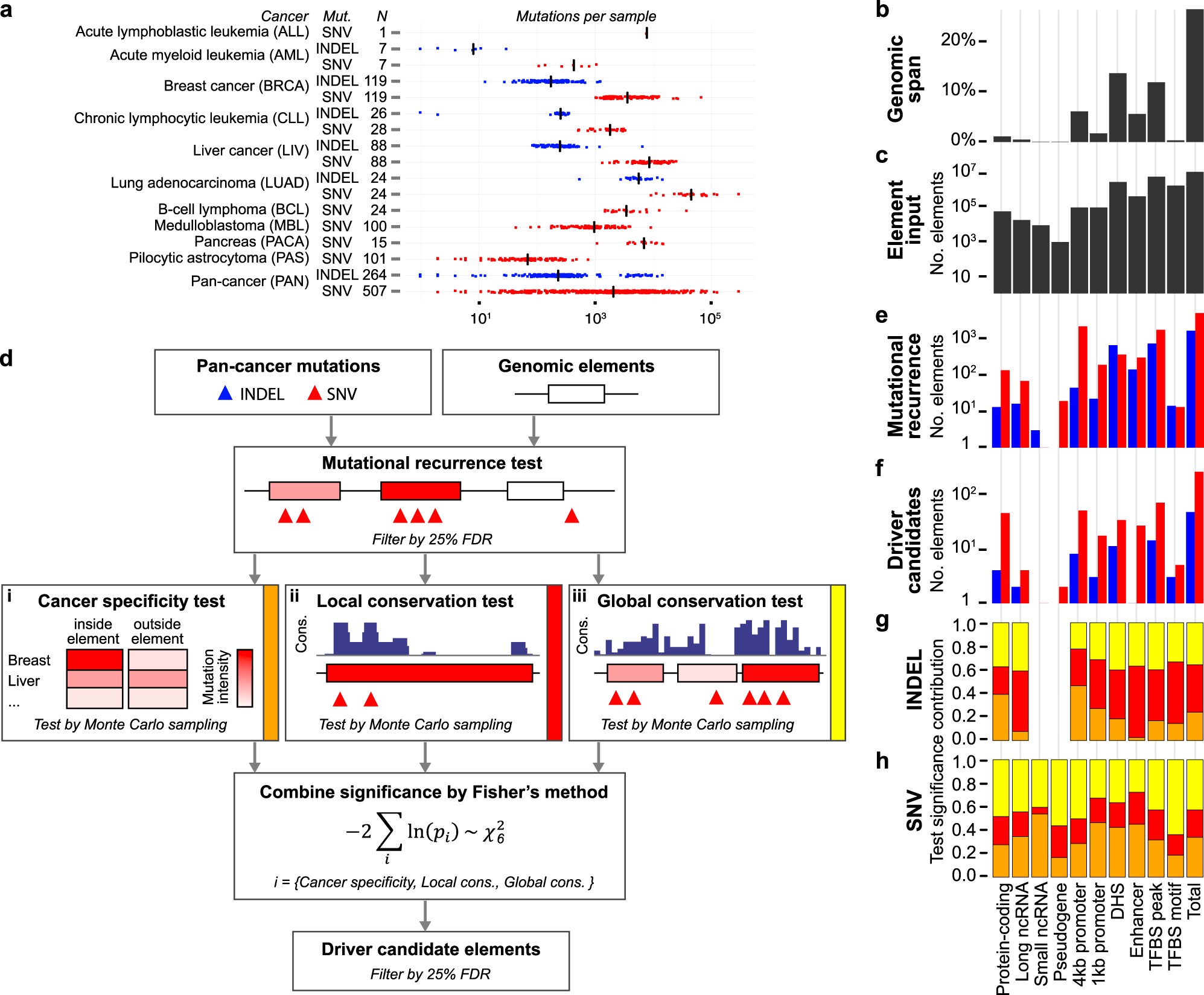 uendelig skandaløse Borgerskab Pan-cancer screen for mutations in non-coding elements with conservation  and cancer specificity reveals correlations with expression and survival |  npj Genomic Medicine