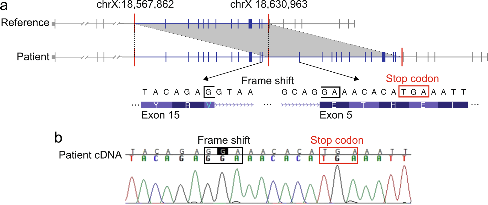 Whole Genome Ysis For Effective Clinical Diagnosis And Gene Whole Genome Ysis For Effective Clinical Diagnosis And Gene Discovery In Early Infantile Epileptic Encephalopathy Npj Genomic Medicine
