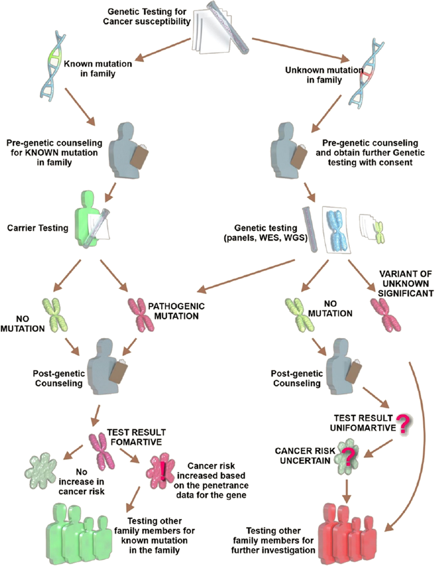 Cancer colorectal non-polipozic ereditar tip 1(HNPCC)-mutatii MSH2 - Familial vs hereditary cancer