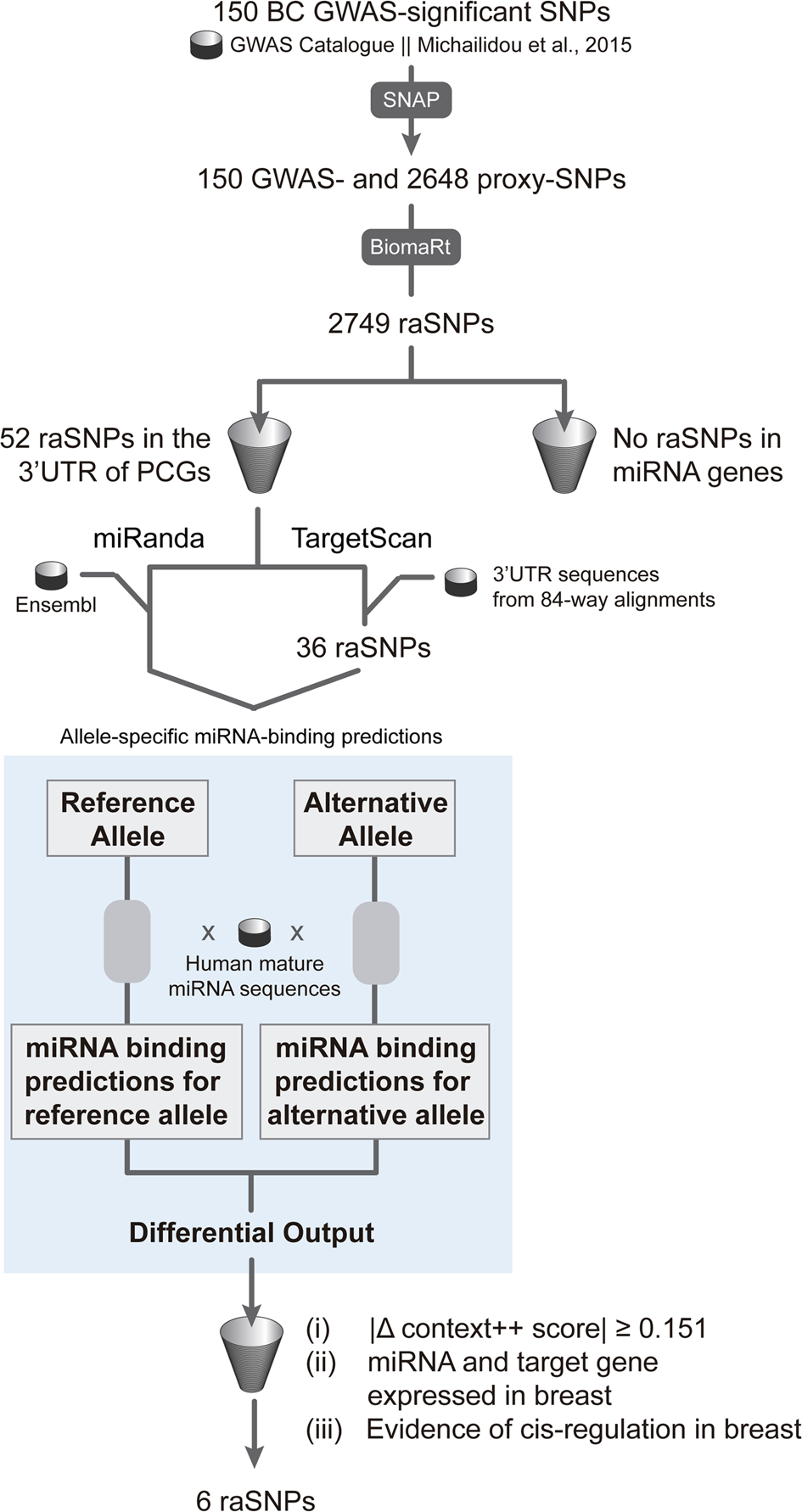 Effects of BRCA2 cis-regulation in normal breast and cancer risk amongst  BRCA2 mutation carriers, Breast Cancer Research