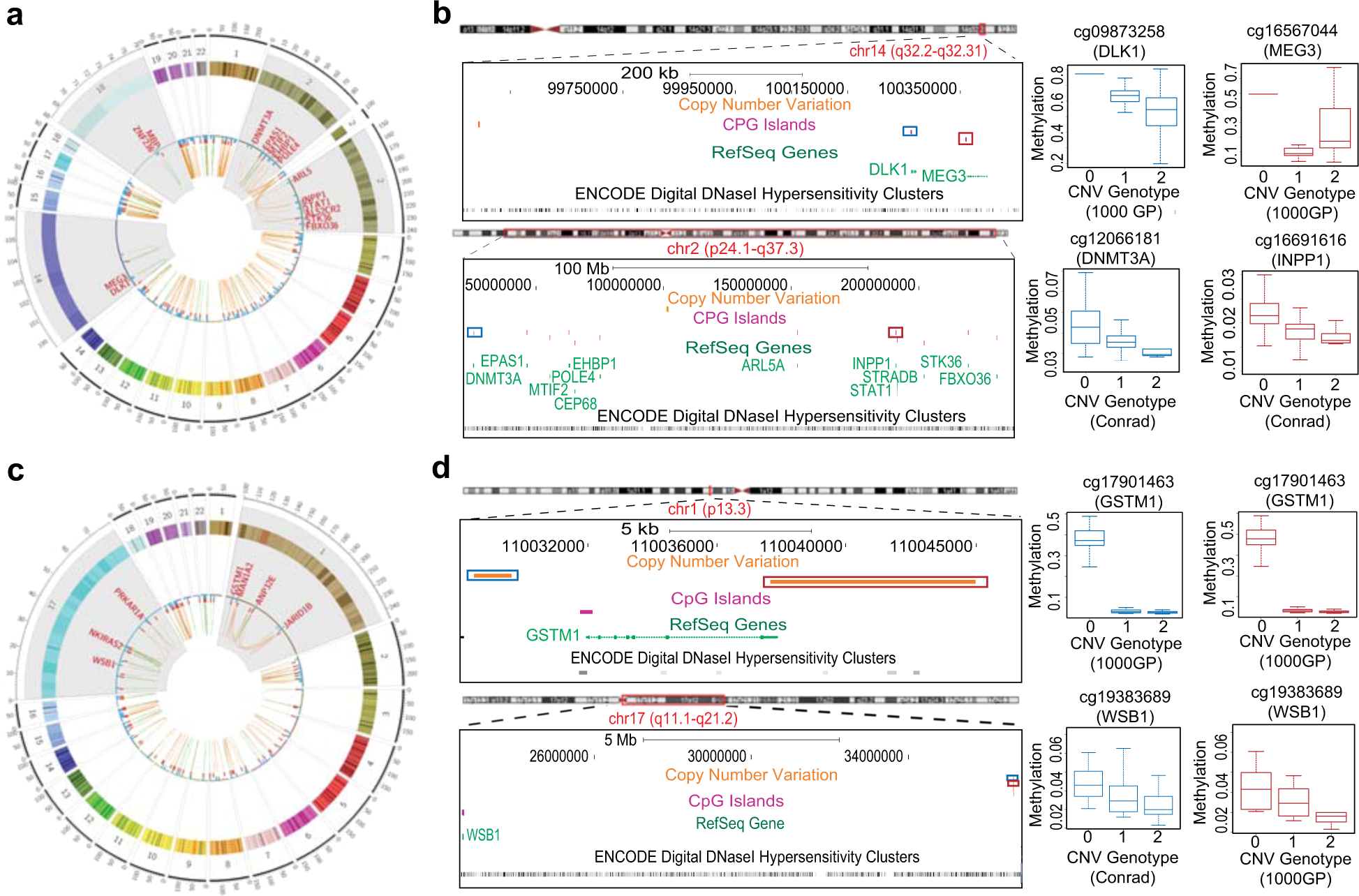 Fig. 2: Types of mQTL associations.