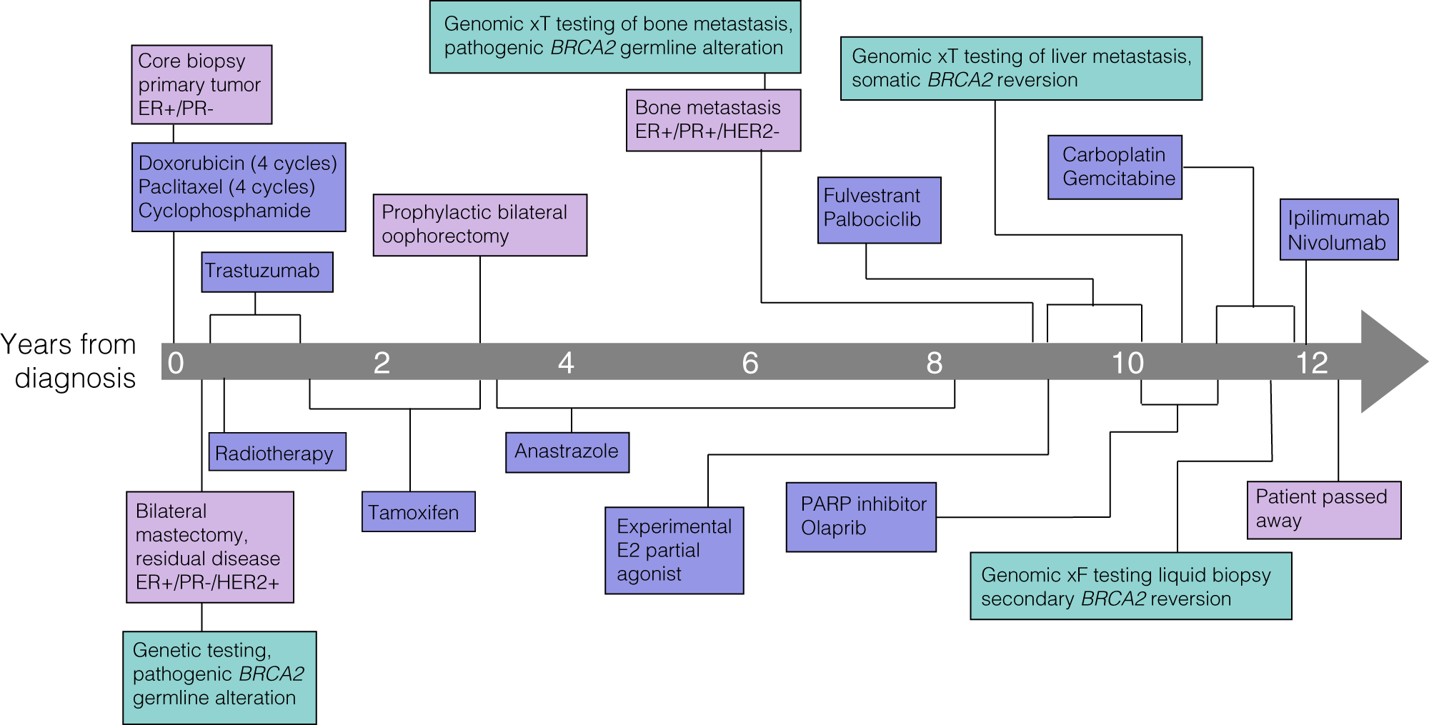 Effects of BRCA2 cis-regulation in normal breast and cancer risk amongst  BRCA2 mutation carriers, Breast Cancer Research