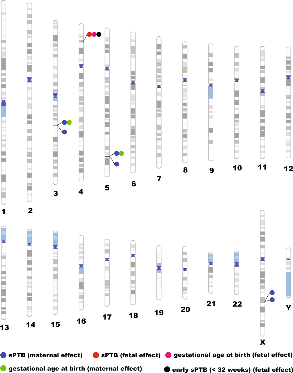 Fig. 3: Results of the genome-wide association studies.