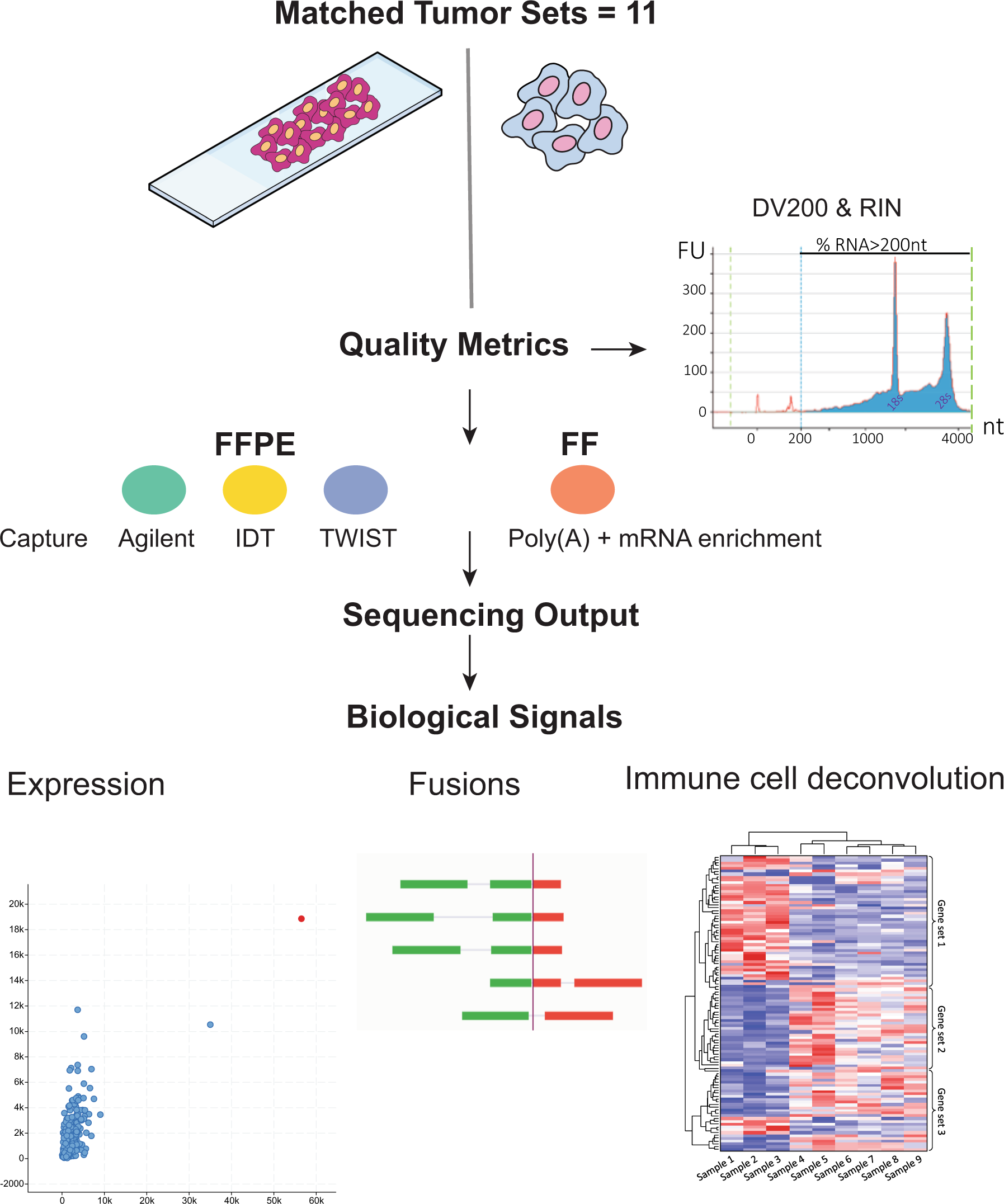 Rescuing Inhibited Samples with the ForenSeq Enhanced Buffer System, ePCR1