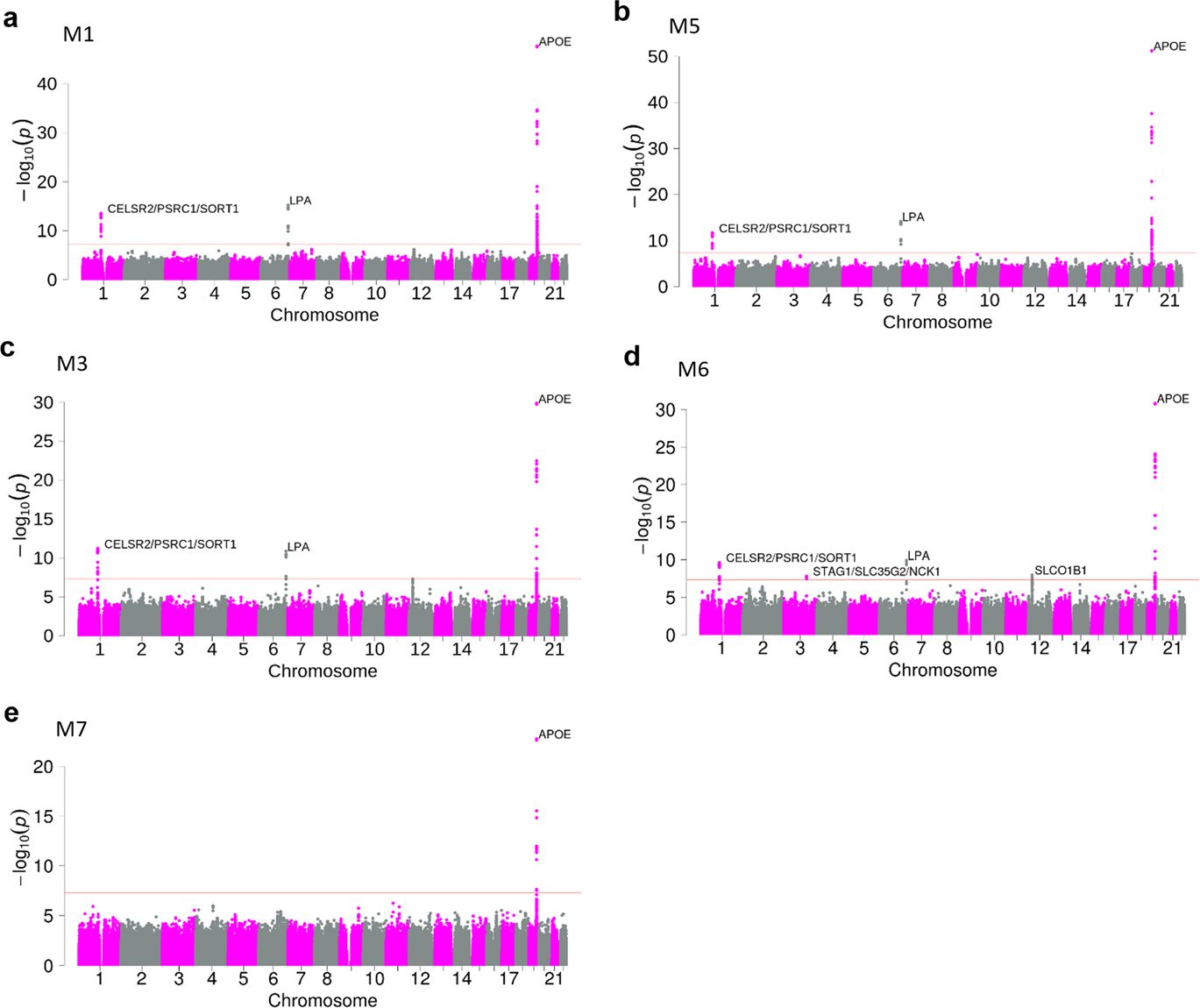 Fig. 3: Manhattan plots for five genome-wide association studies (GWAS) of drug-induced change in low-density lipoprotein cholesterol (LDL-C) from IMPROVE-IT PGx study.