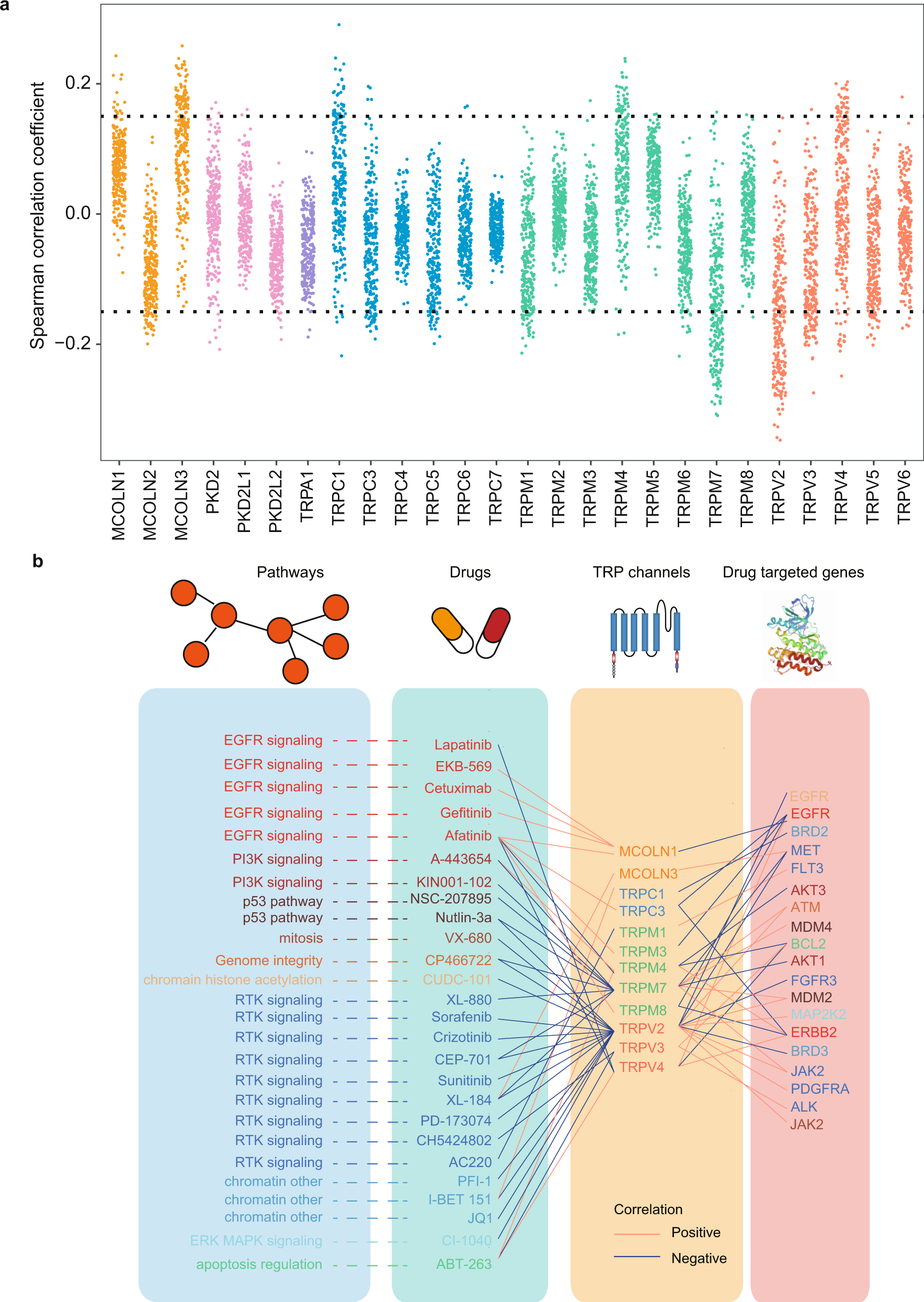 Fig. 8: Potential drug targets of TPR genes in cancer.