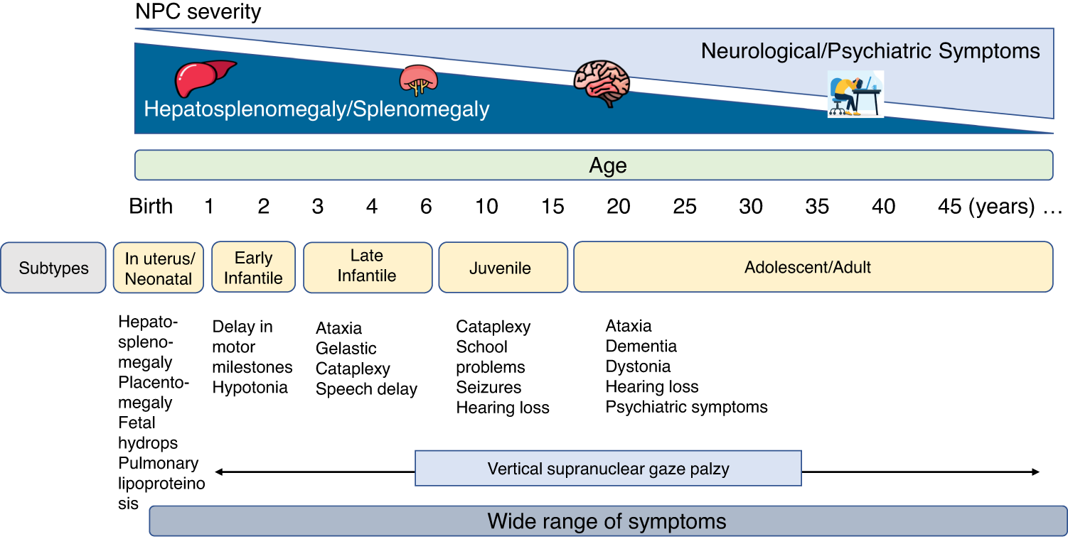 Niemann-Pick disease type C as a neurovisceral disease. Schematic