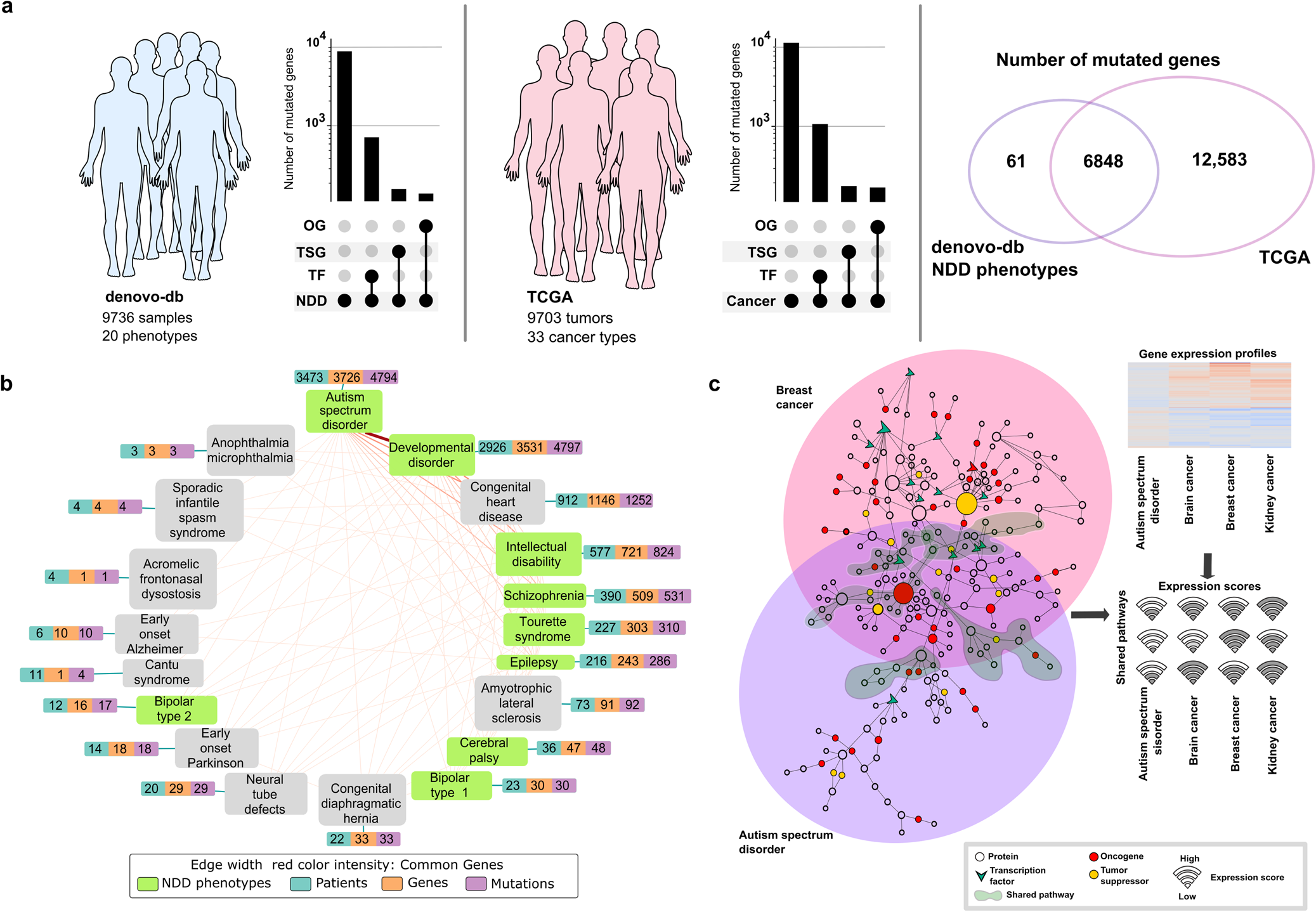 4 Diagnosis, Staging, and Treatment of Cancer, Diagnosing and Treating  Adult Cancers and Associated Impairments