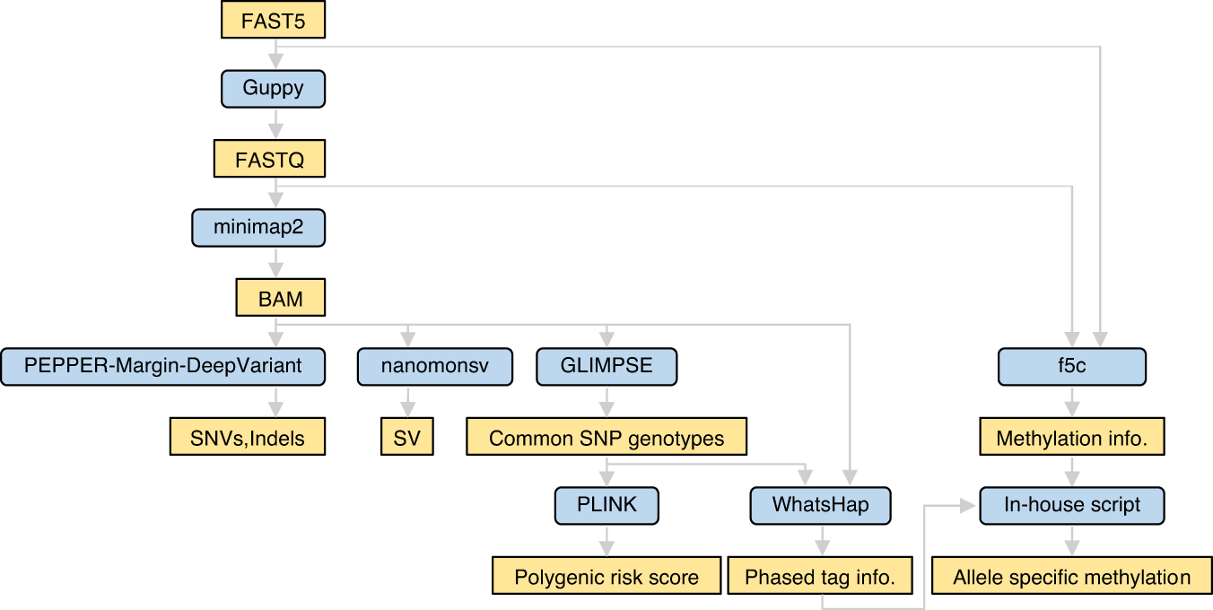 Fig. 1: Overview of the workflow for adaptive sampling using nanopore sequencing.