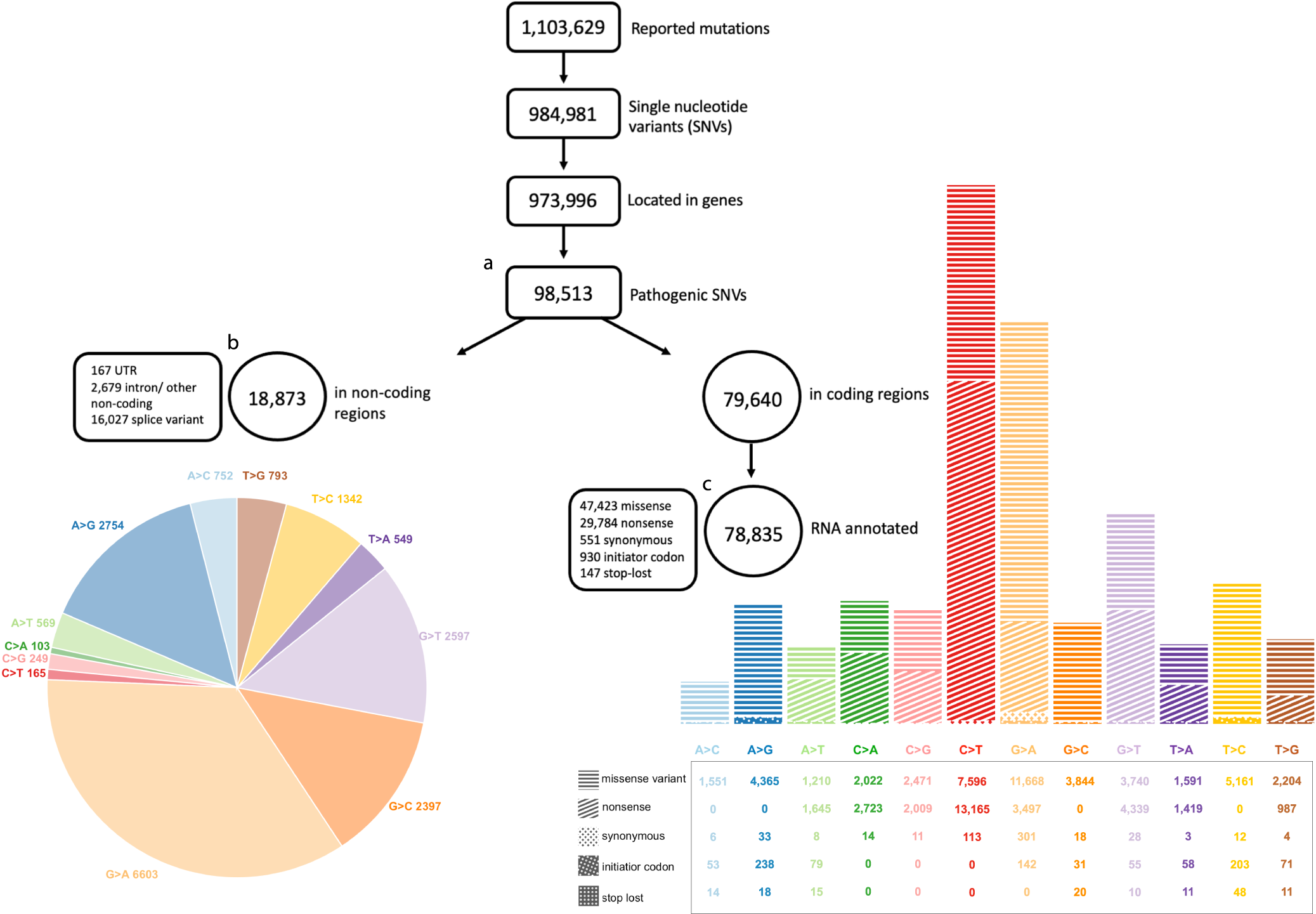 Fig. 1: Visualization of the mutations reported in ClinVar and utilized in our analysis, displayed based on mismatch type and molecular consequences.