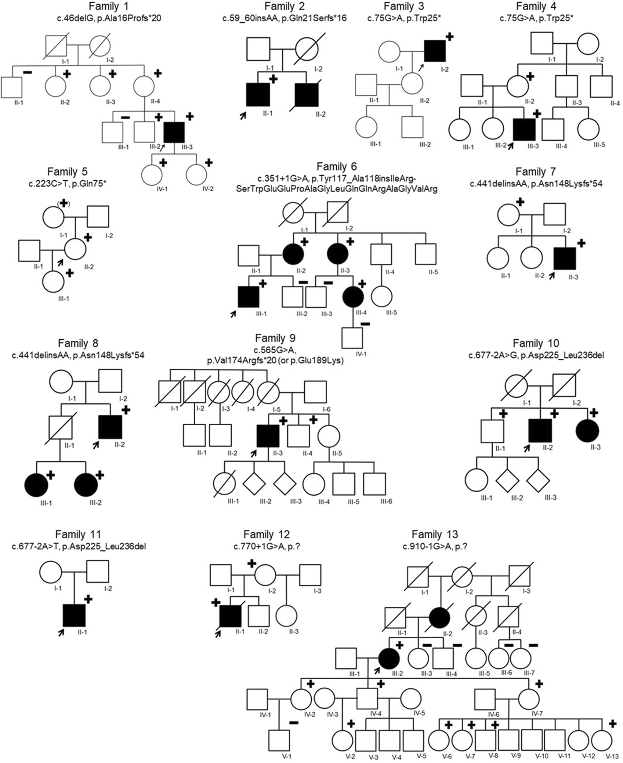 Fig. 1: Pedigrees of thirteen families with BGN variants identified in the current study.