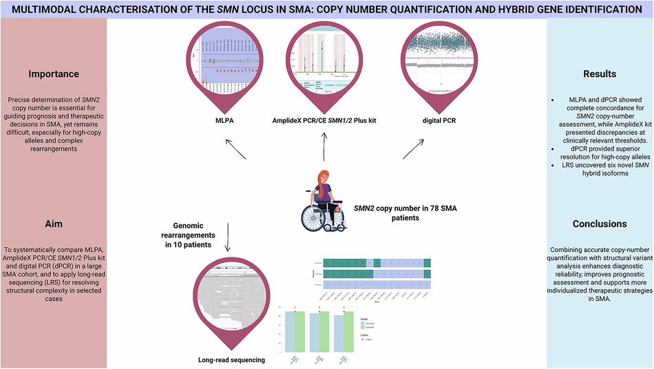 Multimodal characterisation of the SMN locus in SMA: copy number quantification and hybrid gene identification Multimodal characterisation of the SMN locus in SMA: copy number quantification and hybrid gene identification