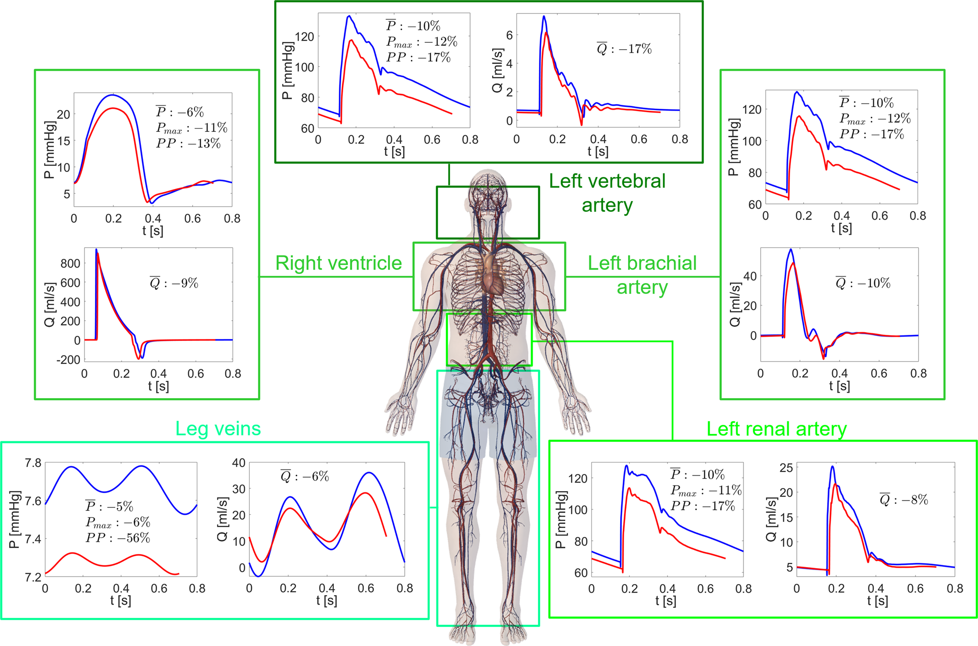 Achieving zero variability echocardiographic analysis in cardio