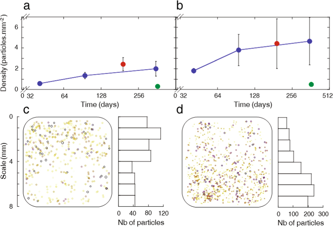 Fig. 3: Surface contamination kinetics on FDTS coating in MATISS-2 campaign.