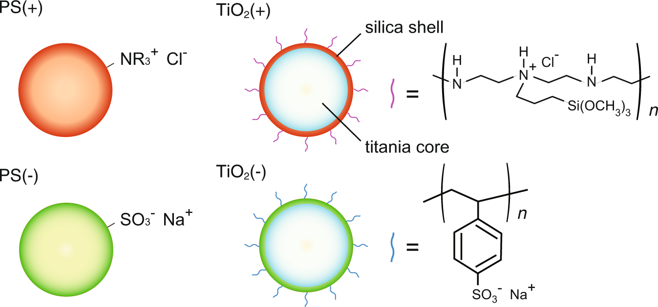 Fig. 2: Colloidal particles.