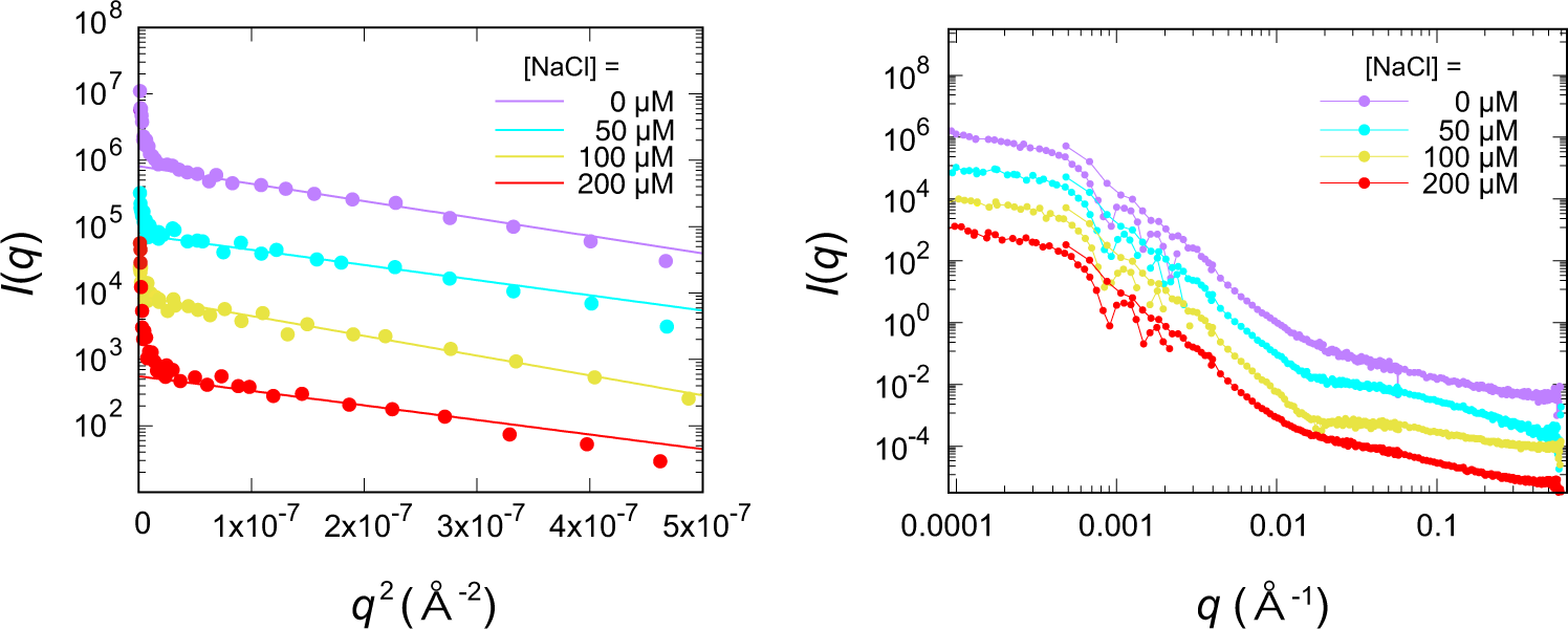 Fig. 5: SANS-USANS scattering profiles (left), and Guinier plot (right) for PS clusters in the space sample for four [NaCl] values.