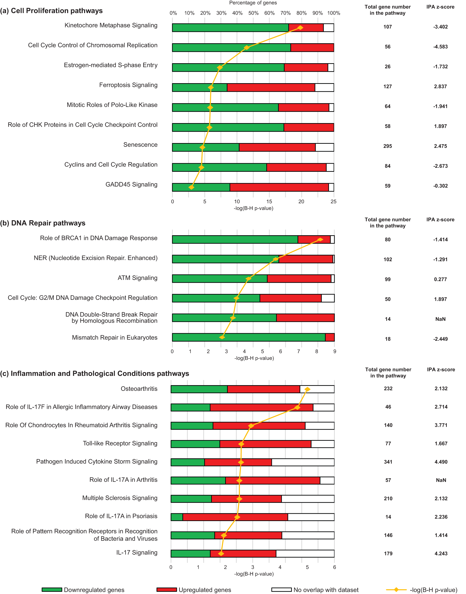 Fig. 2: Main cell functions and pathways with the highest correlation to genes that are differentially expressed in µg as compared to 1 g flight control.