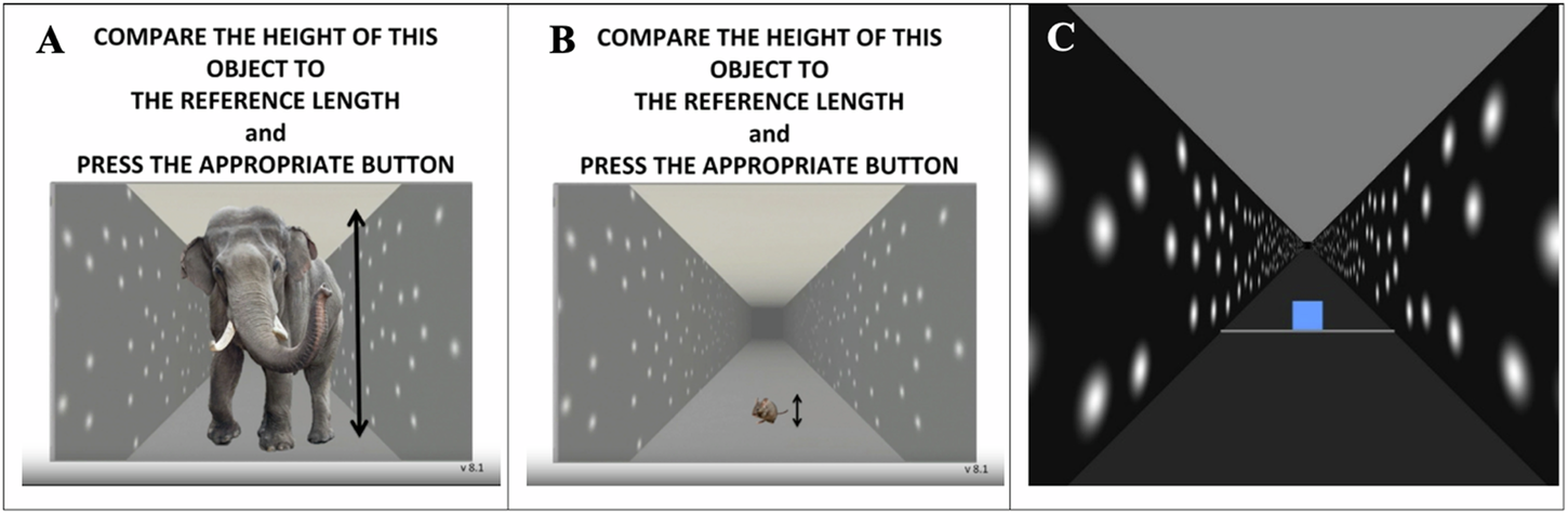 Fig. 6: Screenshots from the Experiment.