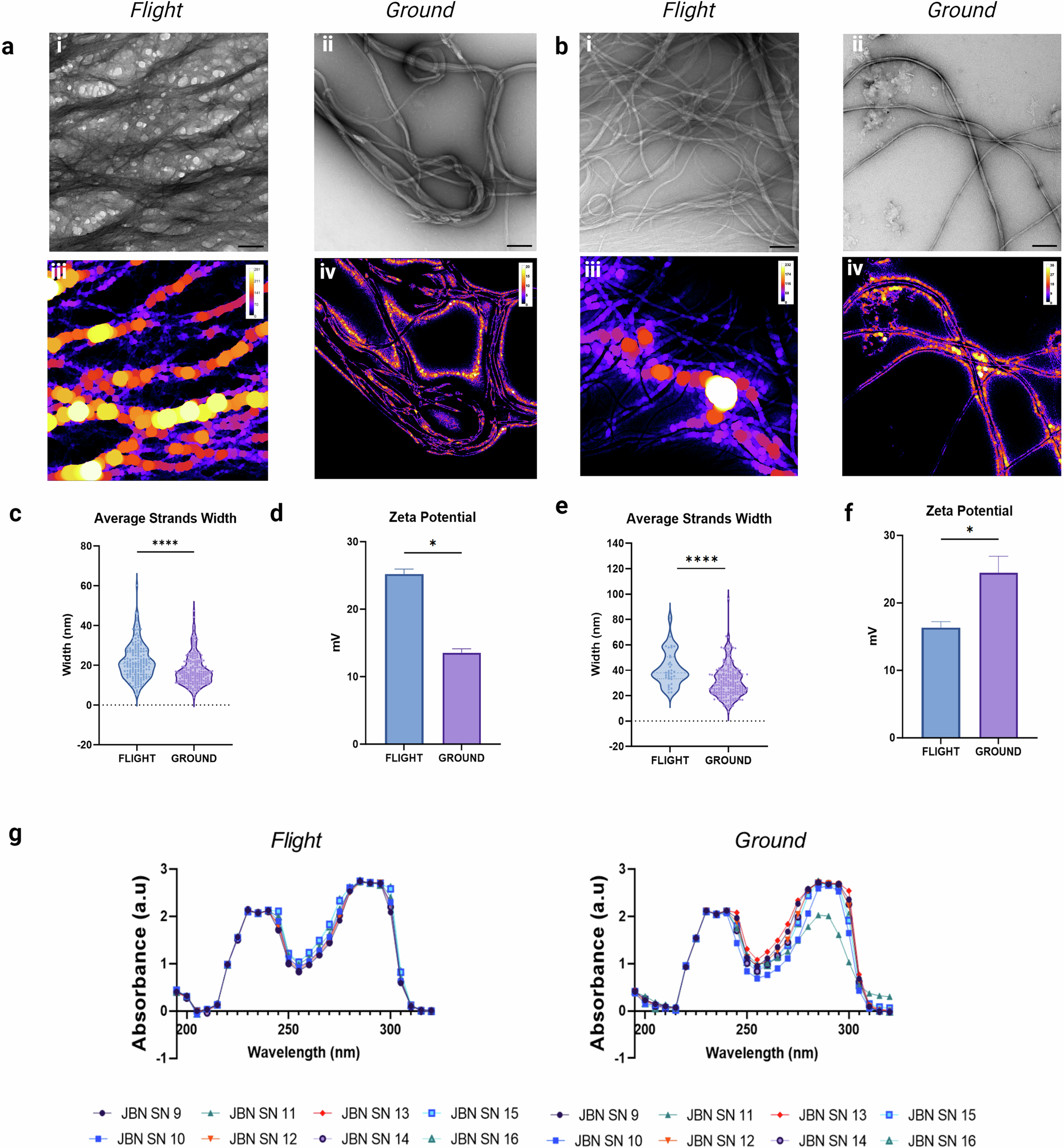 Fig. 2: Structural characterization of in-space manufactured JBNm.