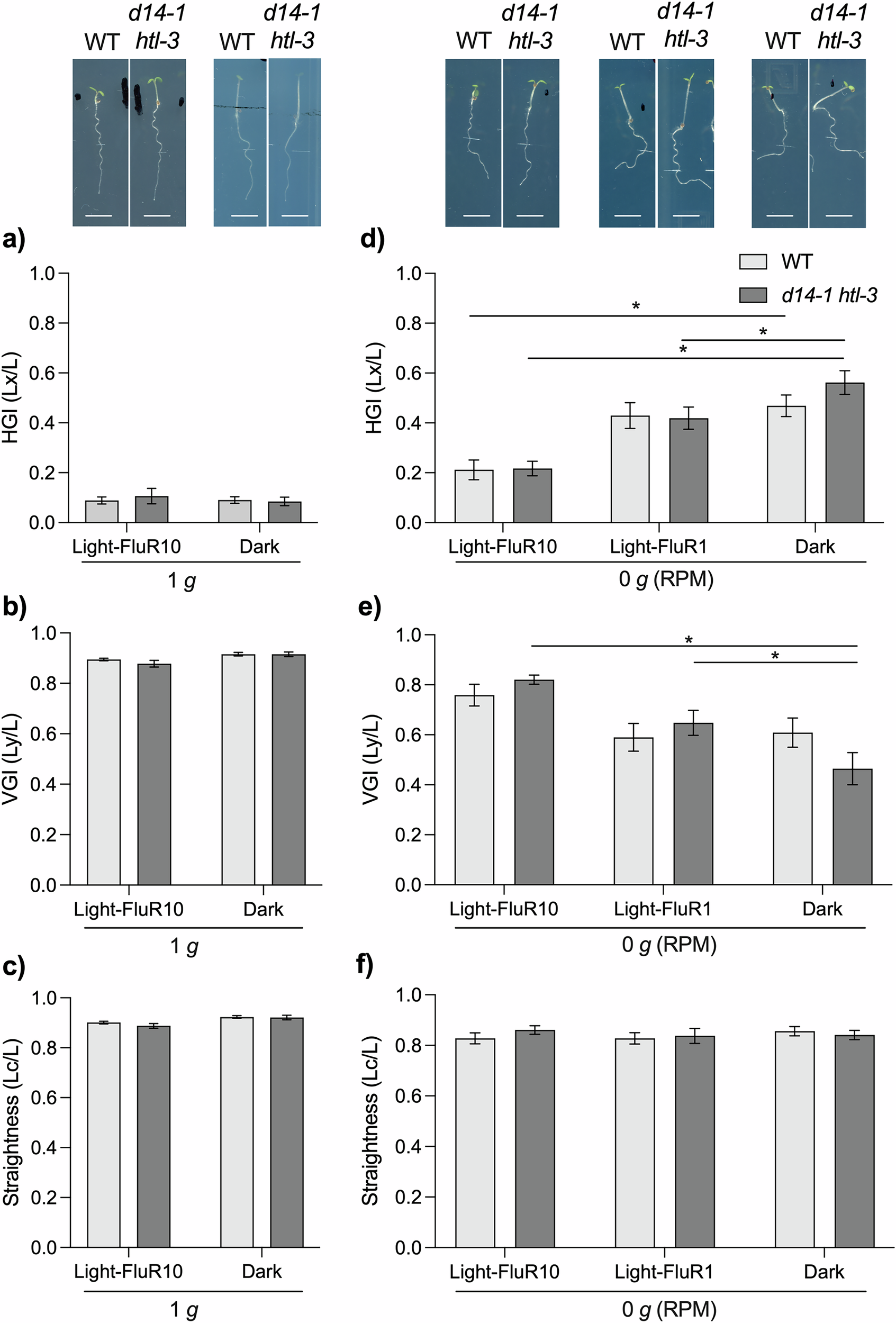 Fig. 2: Arabidopsis growth within the mini-phytotron.