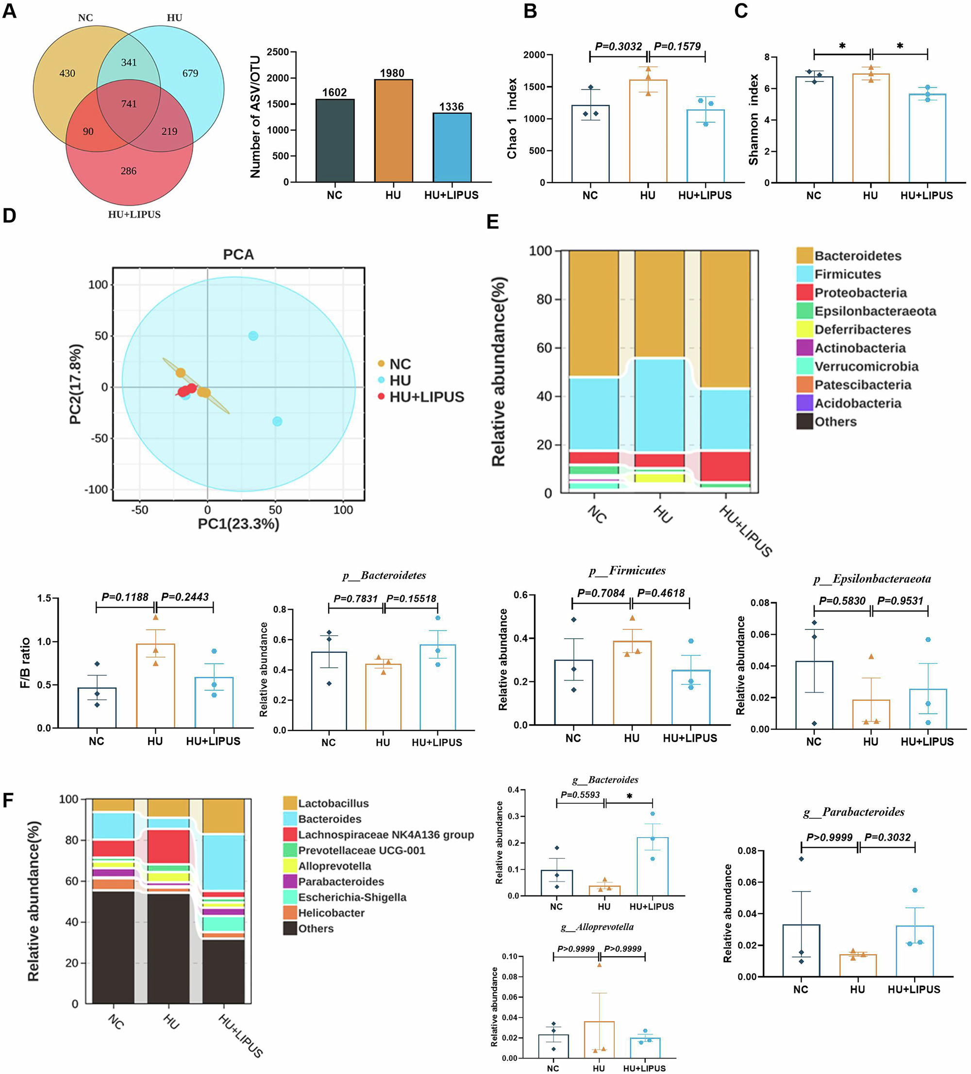 Fig. 4: The effect of abdominal LIPUS treatment on gut microbiota in hindlimb unloaded mice.