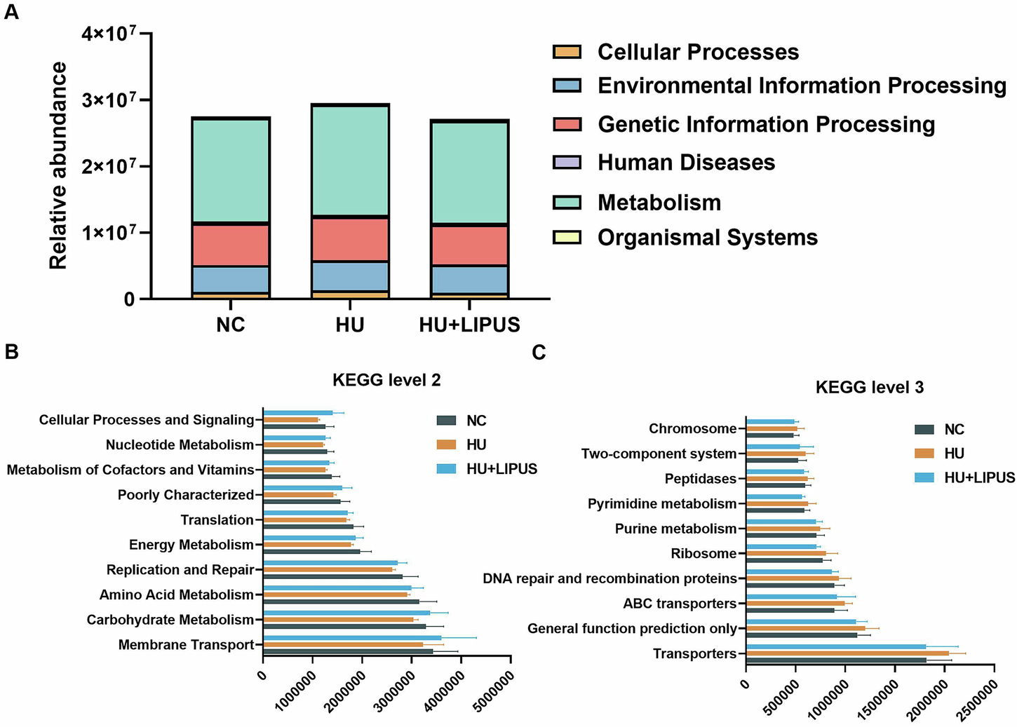 Fig. 5: Prediction of gut microbiota function by KEGG.