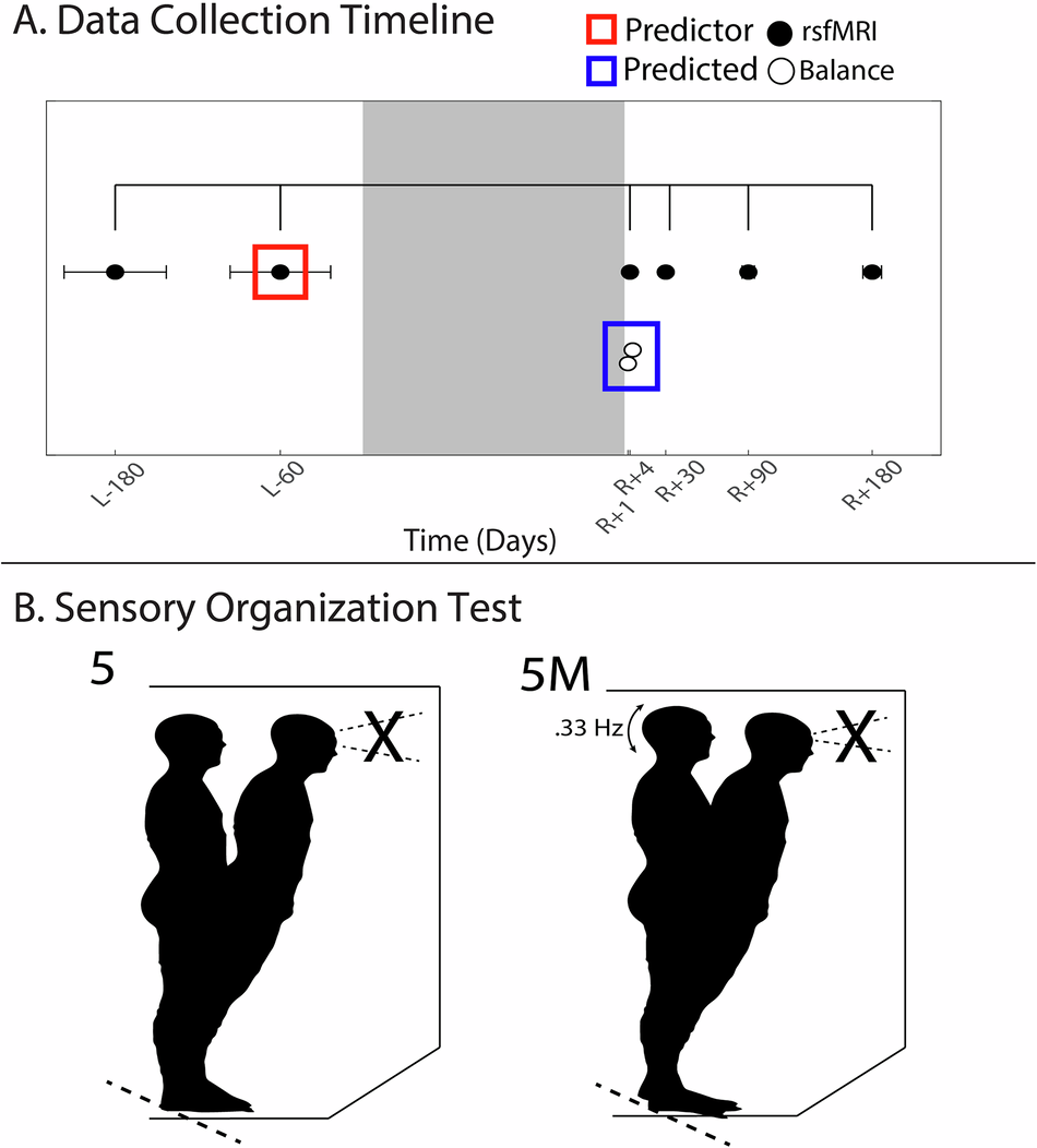 Sensory network segregation as a predictor of post spaceflight balance  impairments and sensory re-weighting | npj Microgravity