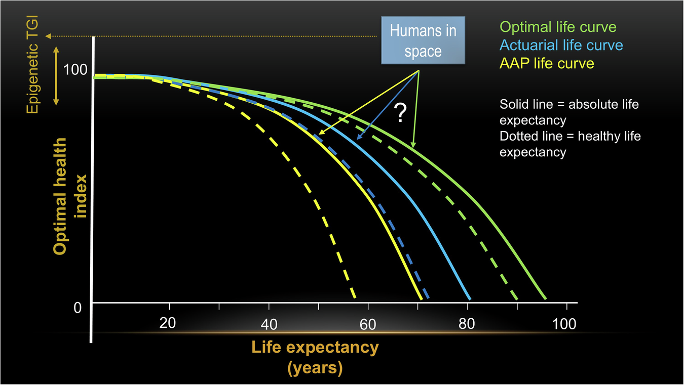 Fig. 4: Optimal health concept displayed as approximate average absolute and healthy life expectancy in different circumstances.
